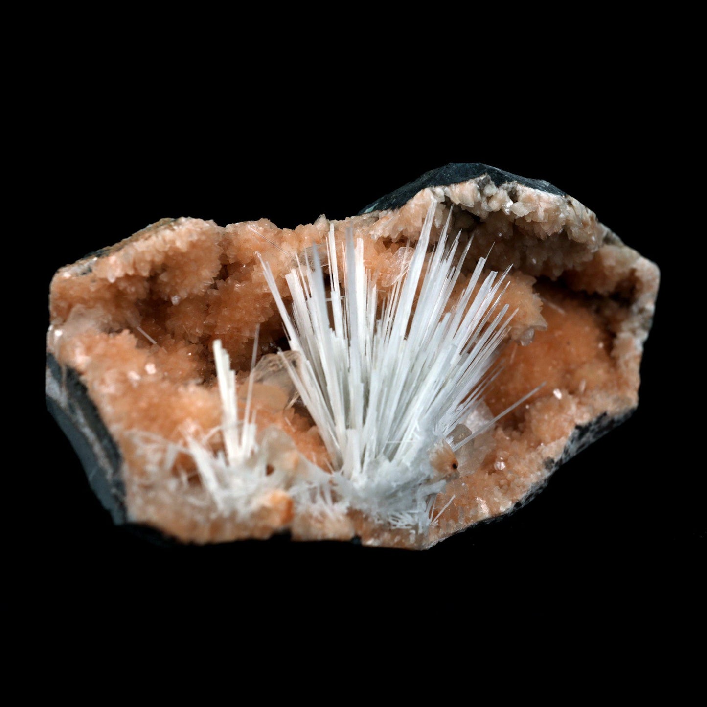 Scolecite Accular Sprays Inside Heulandite Geode Natural Mineral Speci…  https://www.superbminerals.us/products/scolecite-accular-sprays-inside-heulandite-geode-natural-mineral-specimen-b-4902  Features: A beautiful display specimen from the Jalgaon Quarry in India featuring radial aggregate of white Scolecite aesthetically sitting in a narrow crystal-lined vug, with virtually no damage. The piece was a bit difficult to photograph, but truly looks better in person than the photos might indicate.