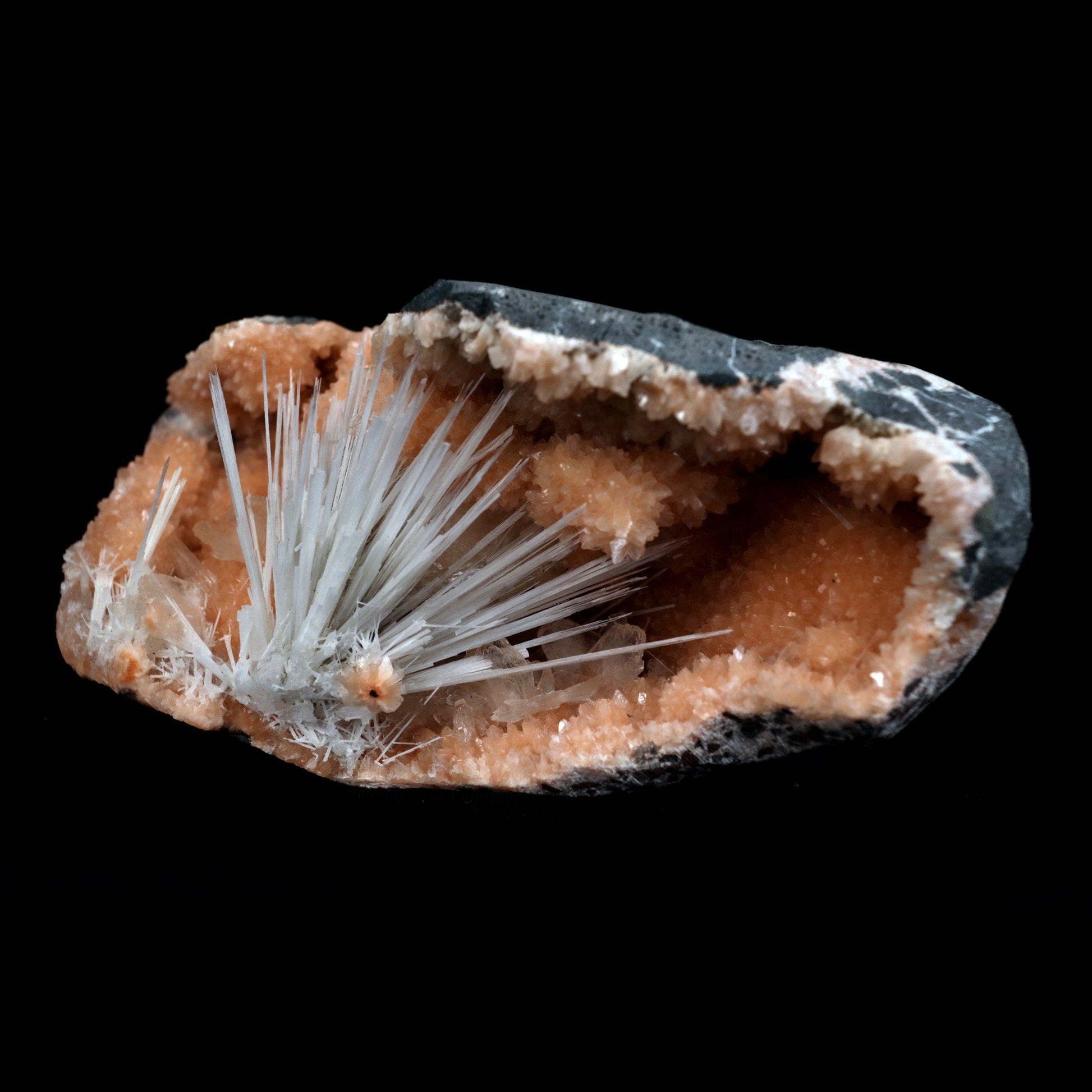 Scolecite Accular Sprays Inside Heulandite Geode Natural Mineral Speci…  https://www.superbminerals.us/products/scolecite-accular-sprays-inside-heulandite-geode-natural-mineral-specimen-b-4902  Features: A beautiful display specimen from the Jalgaon Quarry in India featuring radial aggregate of white Scolecite aesthetically sitting in a narrow crystal-lined vug, with virtually no damage. The piece was a bit difficult to photograph, but truly looks better in person than the photos might indicate.