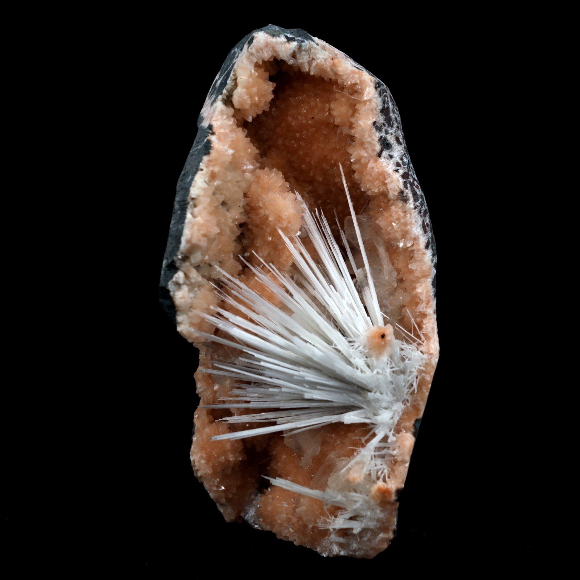 Scolecite Accular Sprays Inside Heulandite Geode Natural Mineral Speci…  https://www.superbminerals.us/products/scolecite-accular-sprays-inside-heulandite-geode-natural-mineral-specimen-b-4902  Features: A beautiful display specimen from the Jalgaon Quarry in India featuring radial aggregate of white Scolecite aesthetically sitting in a narrow crystal-lined vug, with virtually no damage. The piece was a bit difficult to photograph, but truly looks better in person than the photos might indicate.