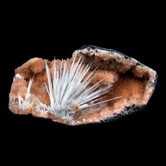 Scolecite Accular Sprays Inside Heulandite Geode Natural Mineral Speci…  https://www.superbminerals.us/products/scolecite-accular-sprays-inside-heulandite-geode-natural-mineral-specimen-b-4902  Features: A beautiful display specimen from the Jalgaon Quarry in India featuring radial aggregate of white Scolecite aesthetically sitting in a narrow crystal-lined vug, with virtually no damage. The piece was a bit difficult to photograph, but truly looks better in person than the photos might indicate.