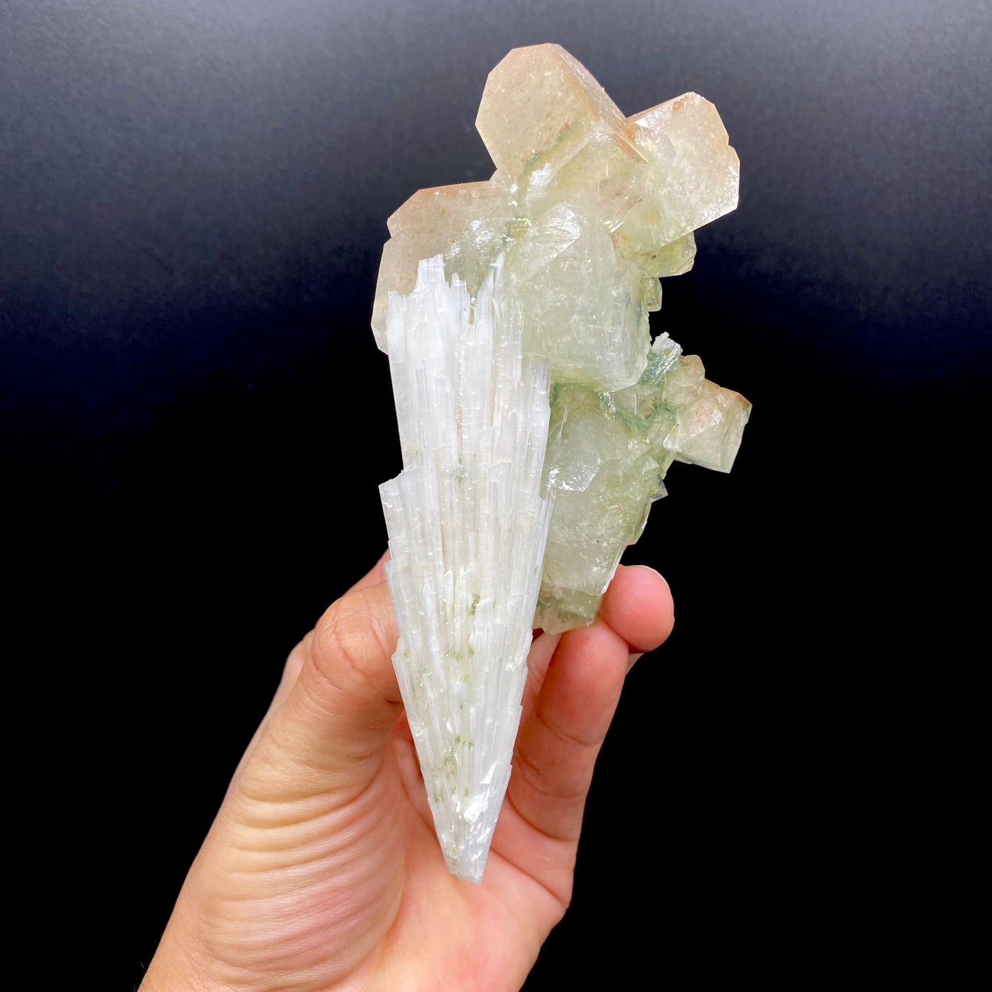 Scolecite & Apophyllite DK150 Superb Minerals 