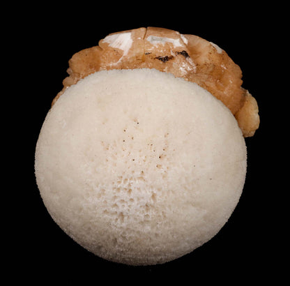 Scolecite Ball on Stilbite Natural Mineral Specimen # B 5191 Heulandite Superb Minerals 