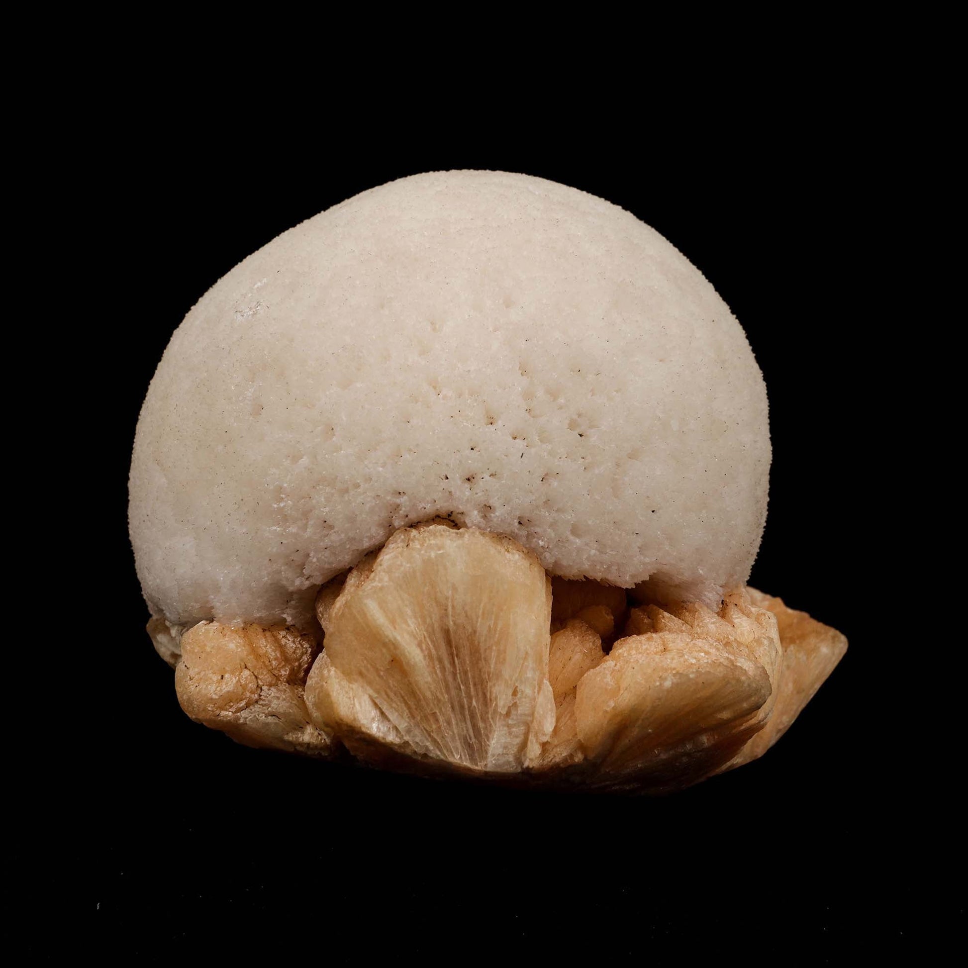 Scolecite Ball on Stilbite Natural Mineral Specimen # B 5195  https://www.superbminerals.us/products/scolecite-ball-on-stilbite-natural-mineral-specimen-b-5195  Features: A magnificent ball of thick, lustrous, transparent scolecite spikes sits above a massive, contrasted, bladed, flesh-colored, glossy, and translucent stilbite matrix.&nbsp; The ball is in fantastic shape. The colour contrast is fantastic. The lowest contact towards the end of the stilbite is only found