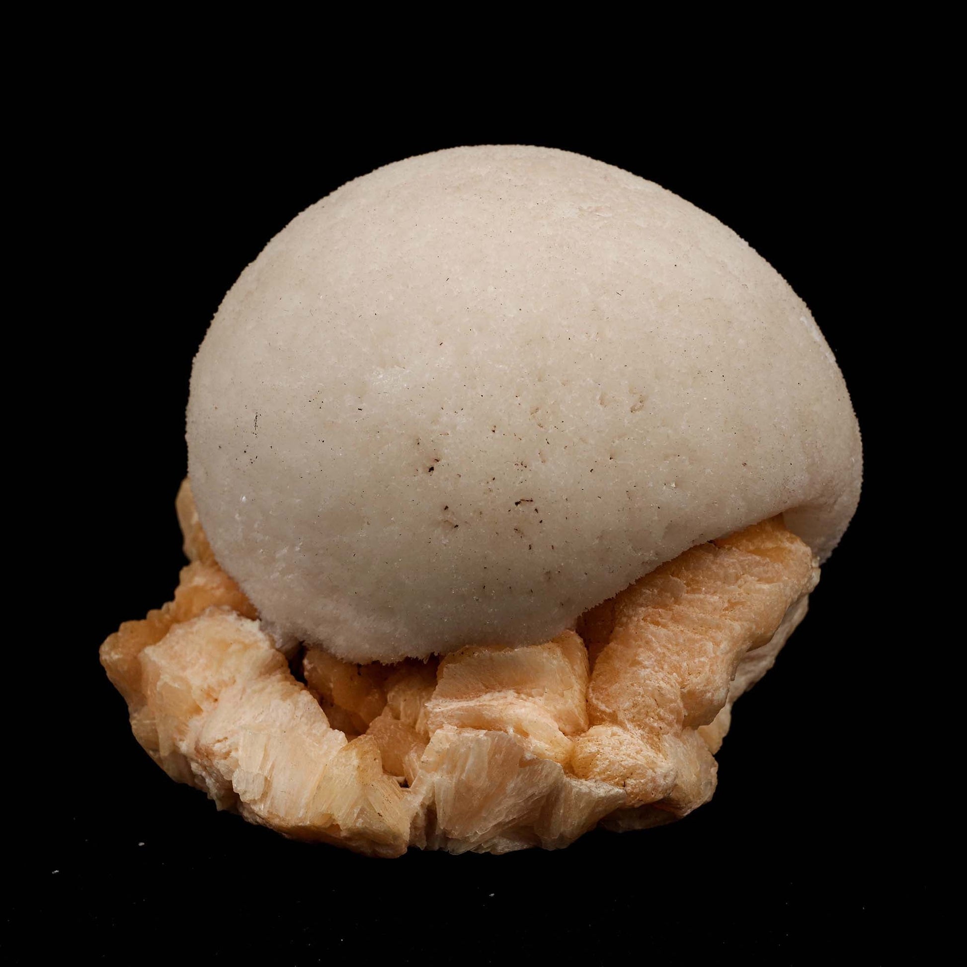 Scolecite Ball on Stilbite Natural Mineral Specimen # B 5195  https://www.superbminerals.us/products/scolecite-ball-on-stilbite-natural-mineral-specimen-b-5195  Features: A magnificent ball of thick, lustrous, transparent scolecite spikes sits above a massive, contrasted, bladed, flesh-colored, glossy, and translucent stilbite matrix.&nbsp; The ball is in fantastic shape. The colour contrast is fantastic. The lowest contact towards the end of the stilbite is only found