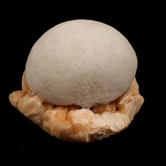 Scolecite Ball on Stilbite Natural Mineral Specimen # B 5195  https://www.superbminerals.us/products/scolecite-ball-on-stilbite-natural-mineral-specimen-b-5195  Features: A magnificent ball of thick, lustrous, transparent scolecite spikes sits above a massive, contrasted, bladed, flesh-colored, glossy, and translucent stilbite matrix.&nbsp; The ball is in fantastic shape. The colour contrast is fantastic. The lowest contact towards the end of the stilbite is only found