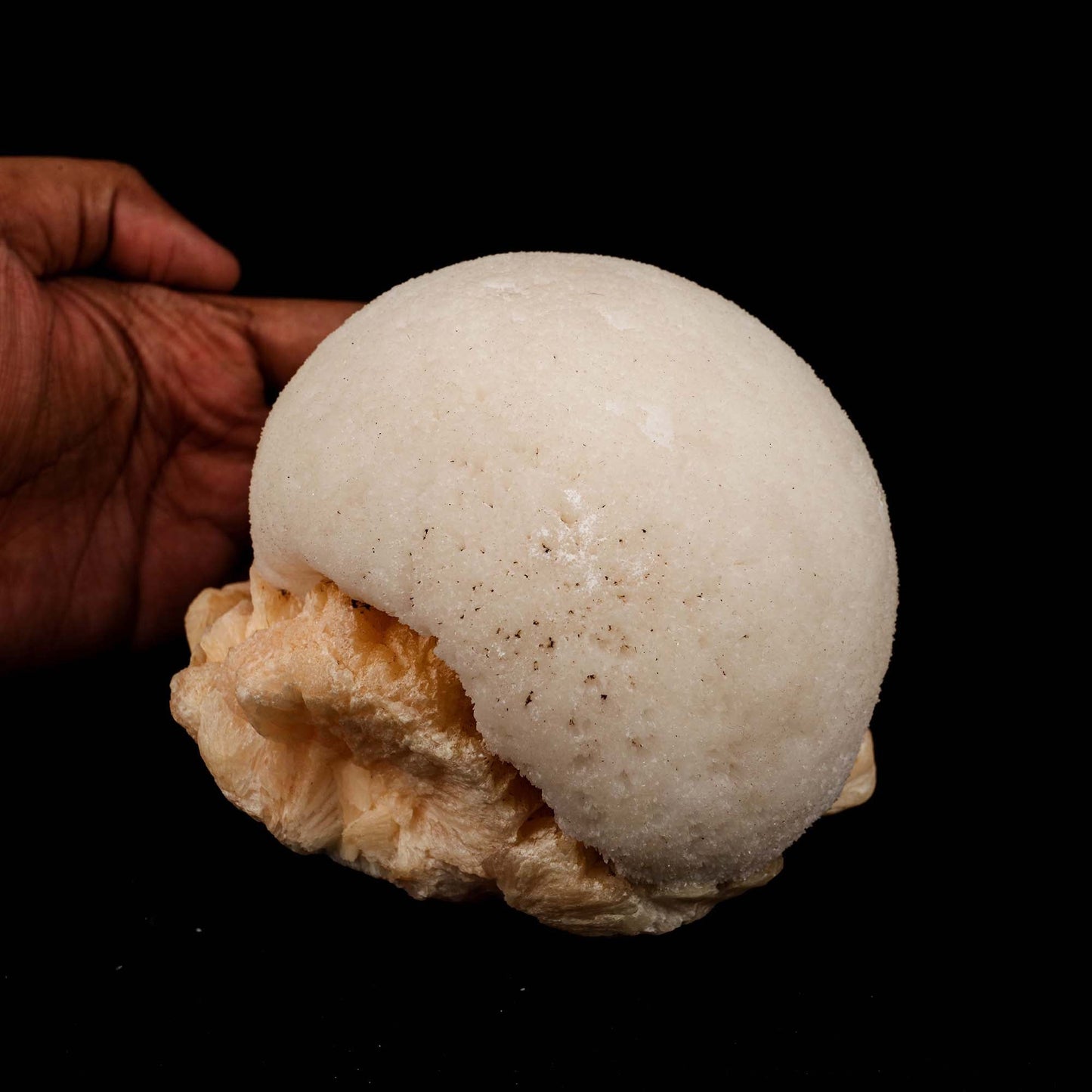 Scolecite Ball on Stilbite Natural Mineral Specimen # B 5195  https://www.superbminerals.us/products/scolecite-ball-on-stilbite-natural-mineral-specimen-b-5195  Features: A magnificent ball of thick, lustrous, transparent scolecite spikes sits above a massive, contrasted, bladed, flesh-colored, glossy, and translucent stilbite matrix.&nbsp; The ball is in fantastic shape. The colour contrast is fantastic. The lowest contact towards the end of the stilbite is only found