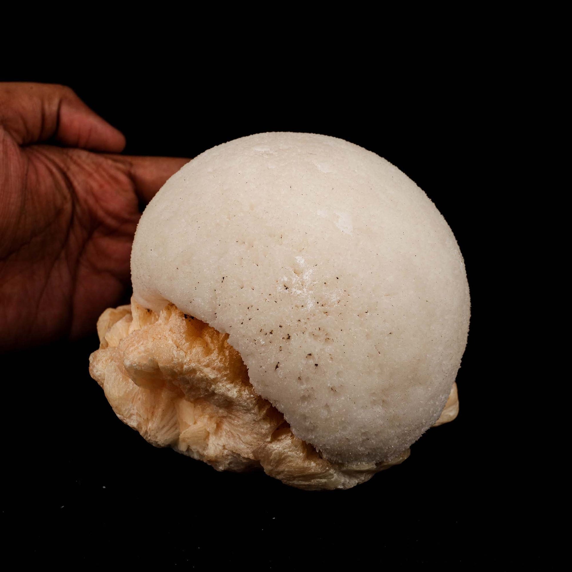 Scolecite Ball on Stilbite Natural Mineral Specimen # B 5195  https://www.superbminerals.us/products/scolecite-ball-on-stilbite-natural-mineral-specimen-b-5195  Features: A magnificent ball of thick, lustrous, transparent scolecite spikes sits above a massive, contrasted, bladed, flesh-colored, glossy, and translucent stilbite matrix.&nbsp; The ball is in fantastic shape. The colour contrast is fantastic. The lowest contact towards the end of the stilbite is only found