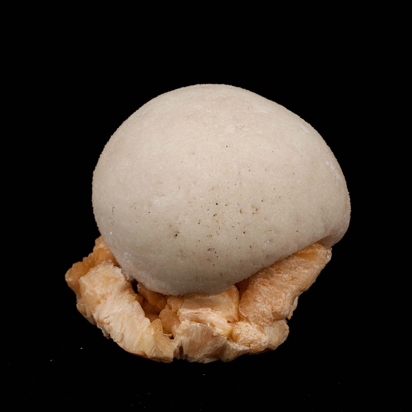 Scolecite Ball on Stilbite Natural Mineral Specimen # B 5195  https://www.superbminerals.us/products/scolecite-ball-on-stilbite-natural-mineral-specimen-b-5195  Features: A magnificent ball of thick, lustrous, transparent scolecite spikes sits above a massive, contrasted, bladed, flesh-colored, glossy, and translucent stilbite matrix.&nbsp; The ball is in fantastic shape. The colour contrast is fantastic. The lowest contact towards the end of the stilbite is only found