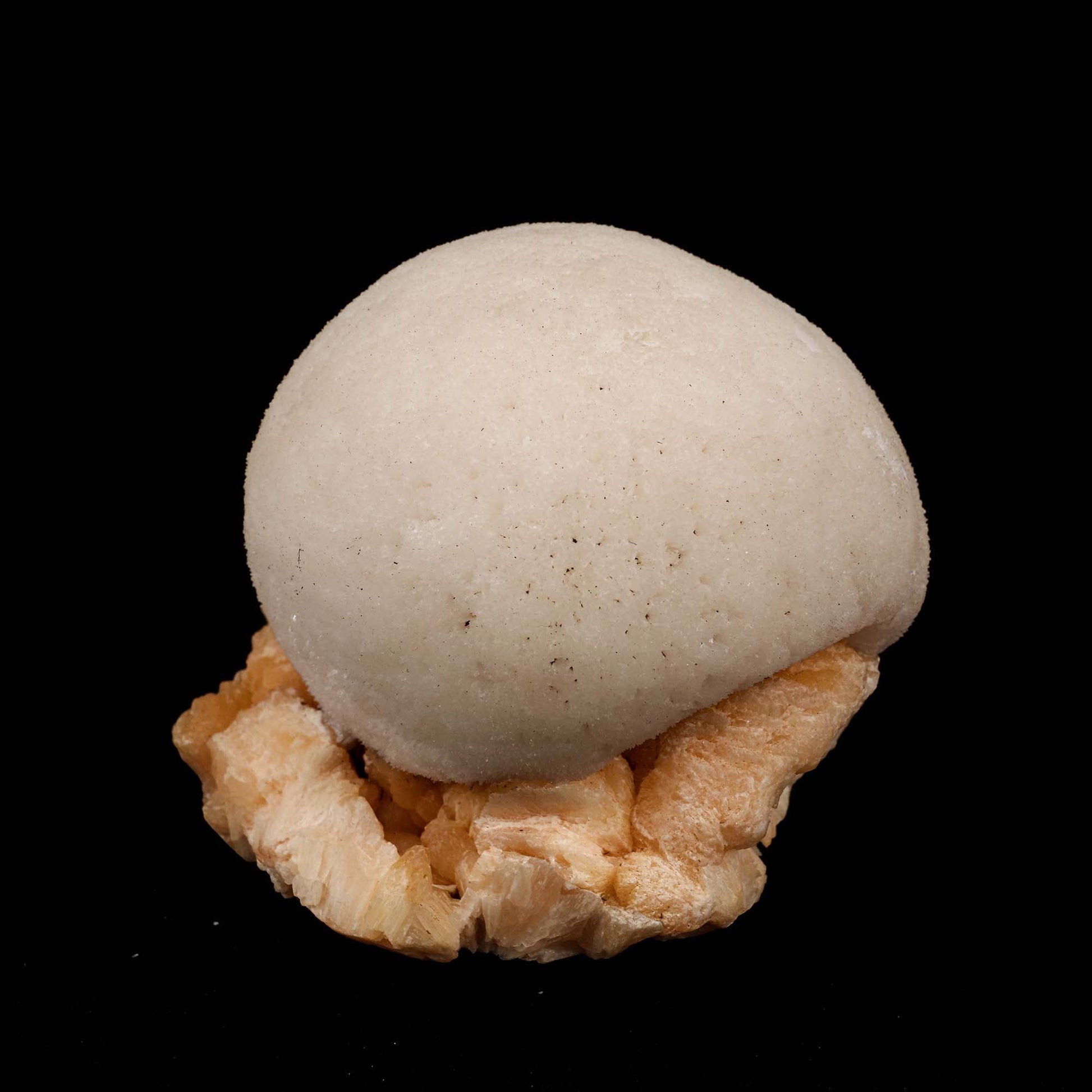 Scolecite Ball on Stilbite Natural Mineral Specimen # B 5195  https://www.superbminerals.us/products/scolecite-ball-on-stilbite-natural-mineral-specimen-b-5195  Features: A magnificent ball of thick, lustrous, transparent scolecite spikes sits above a massive, contrasted, bladed, flesh-colored, glossy, and translucent stilbite matrix.&nbsp; The ball is in fantastic shape. The colour contrast is fantastic. The lowest contact towards the end of the stilbite is only found