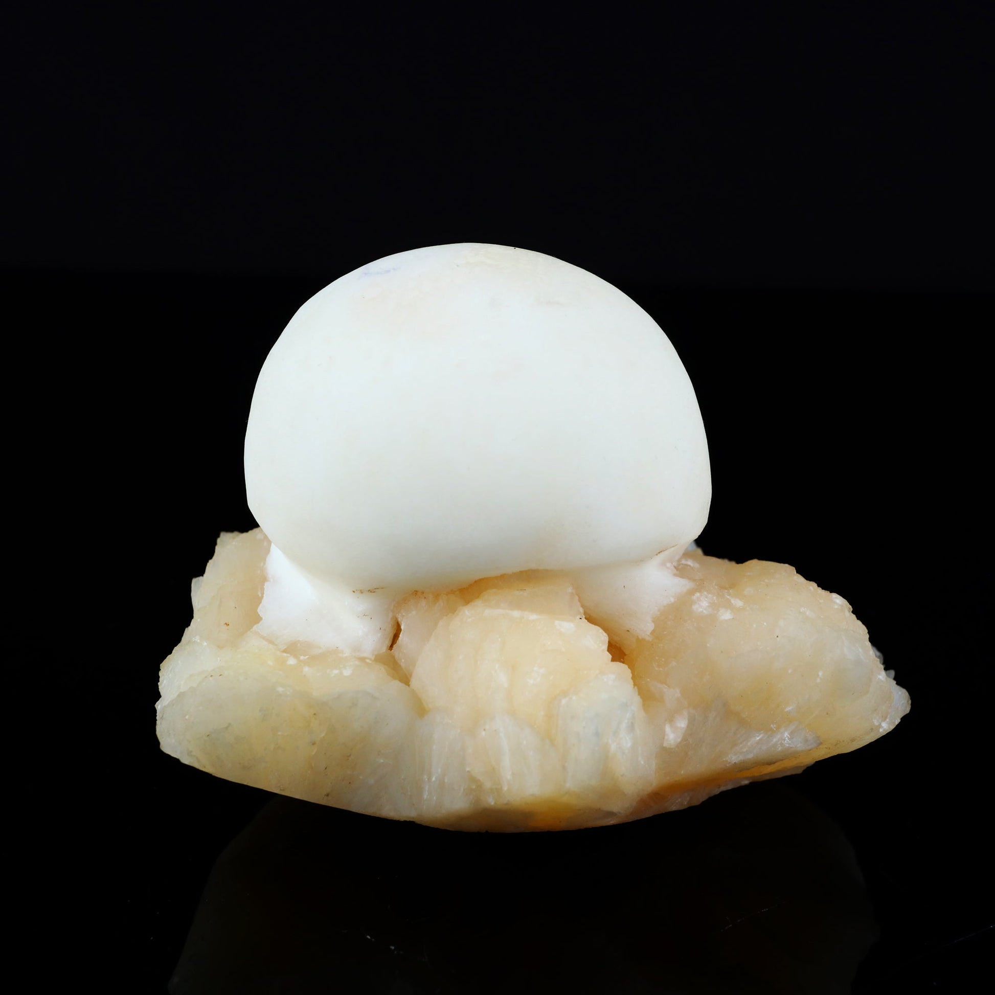 Scolecite Ball on Stilbite Natural Mineral Specimen # B 5559 Scolecite Superb Minerals 