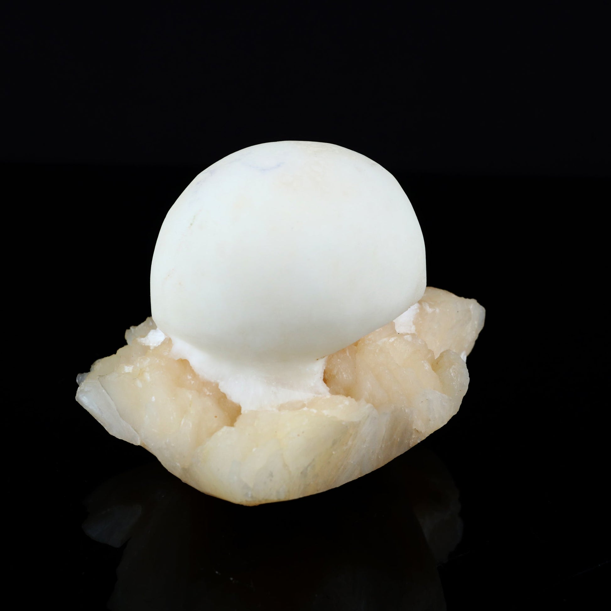 Scolecite Ball on Stilbite Natural Mineral Specimen # B 5559 Scolecite Superb Minerals 