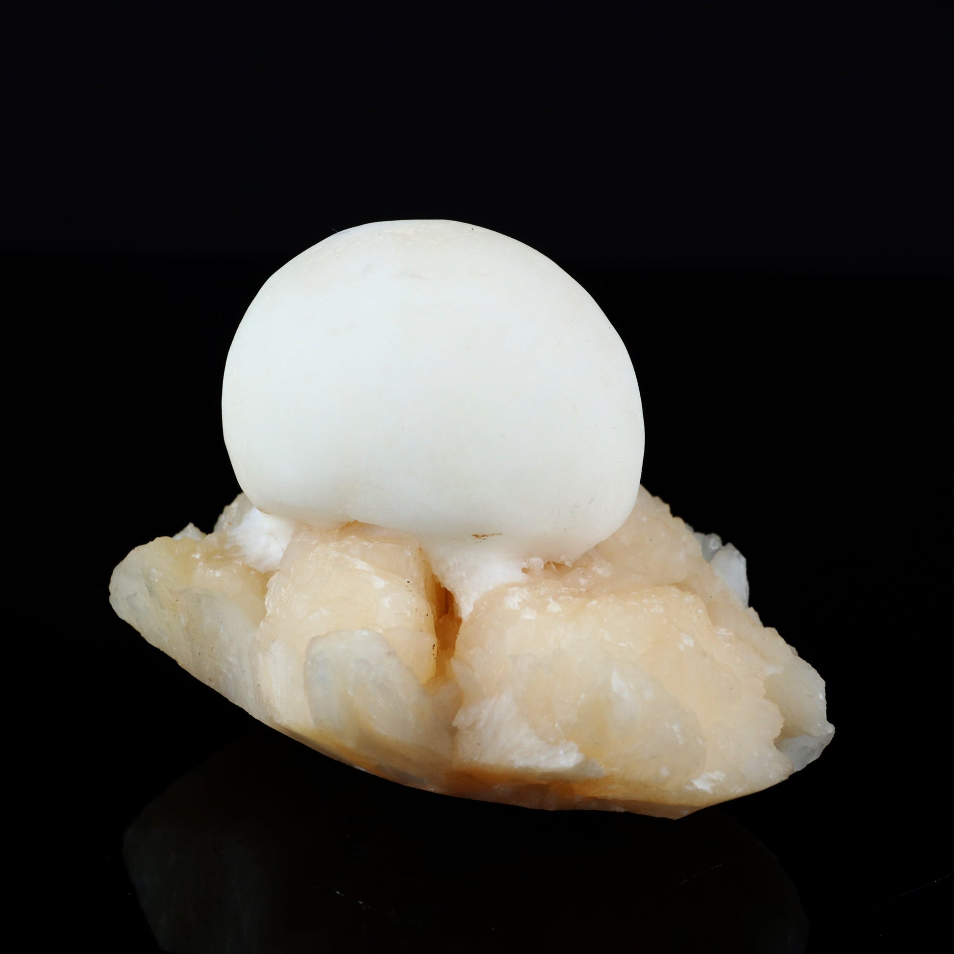 Scolecite Ball on Stilbite Natural Mineral Specimen # B 5559 Scolecite Superb Minerals 