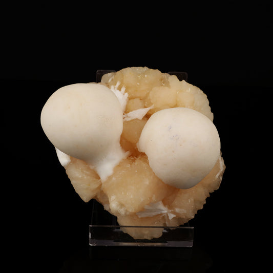 Scolecite Ball on Stilbite Natural Mineral Specimen # B 5565 Scolecite Superb Minerals 
