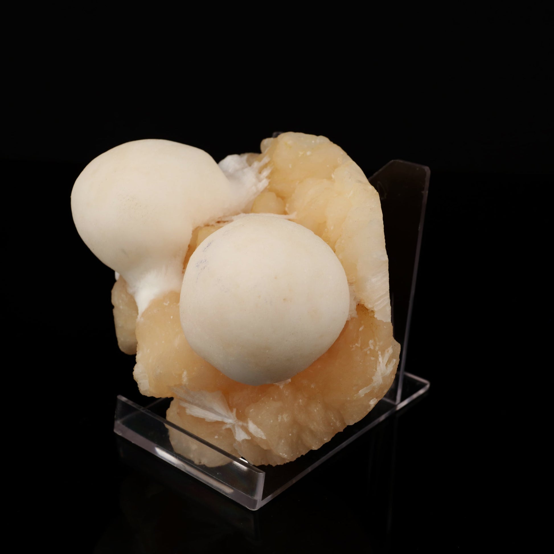 Scolecite Ball on Stilbite Natural Mineral Specimen # B 5565 Scolecite Superb Minerals 