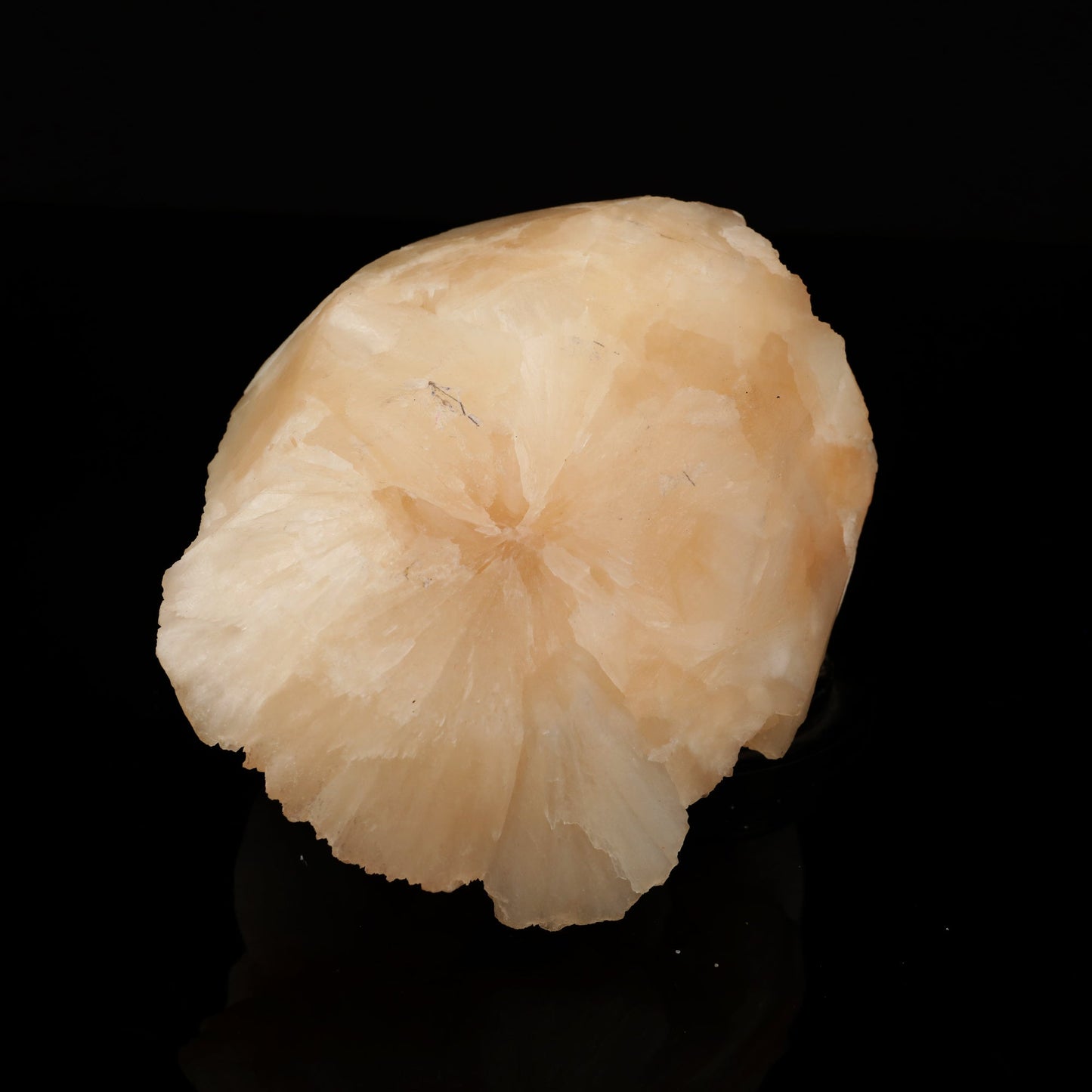 Scolecite Ball on Stilbite Natural Mineral Specimen # B 5565 Scolecite Superb Minerals 