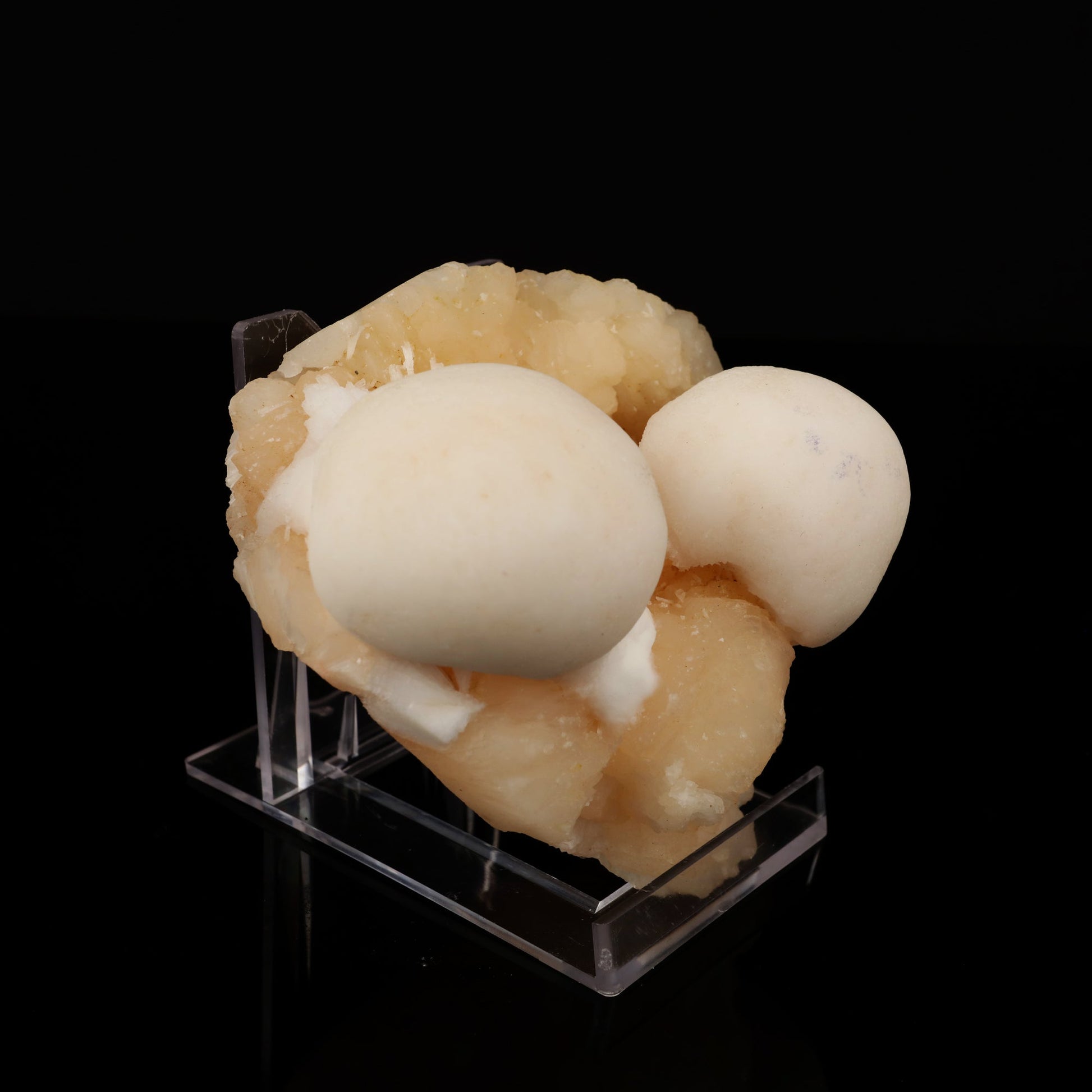 Scolecite Ball on Stilbite Natural Mineral Specimen # B 5565 Scolecite Superb Minerals 