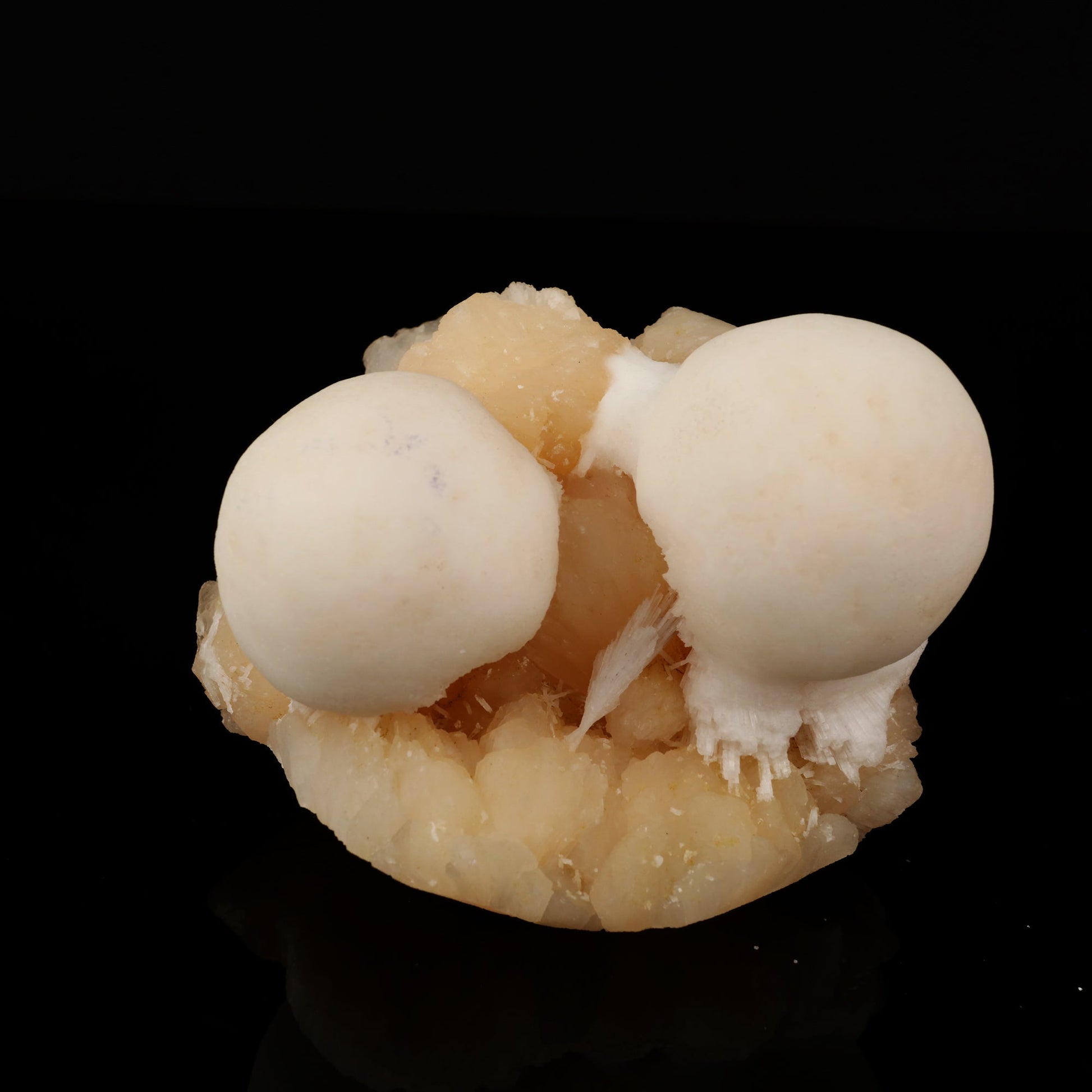 Scolecite Ball on Stilbite Natural Mineral Specimen # B 5565 Scolecite Superb Minerals 