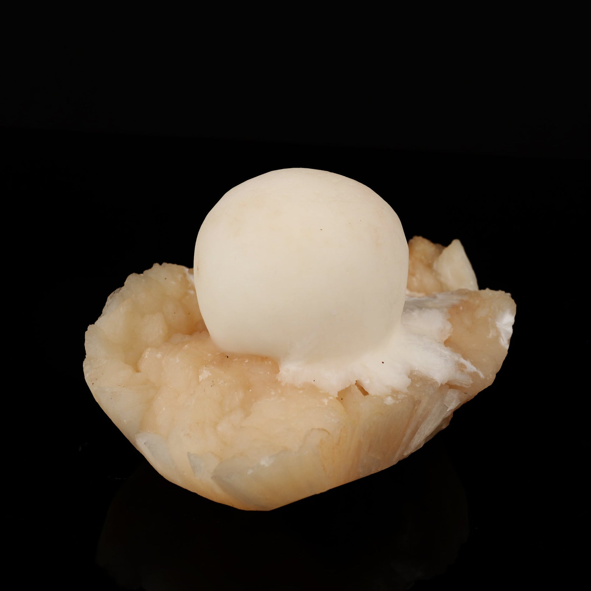 Scolecite Ball on Stilbite Natural Mineral Specimen # B 5578 Scolecite Superb Minerals 