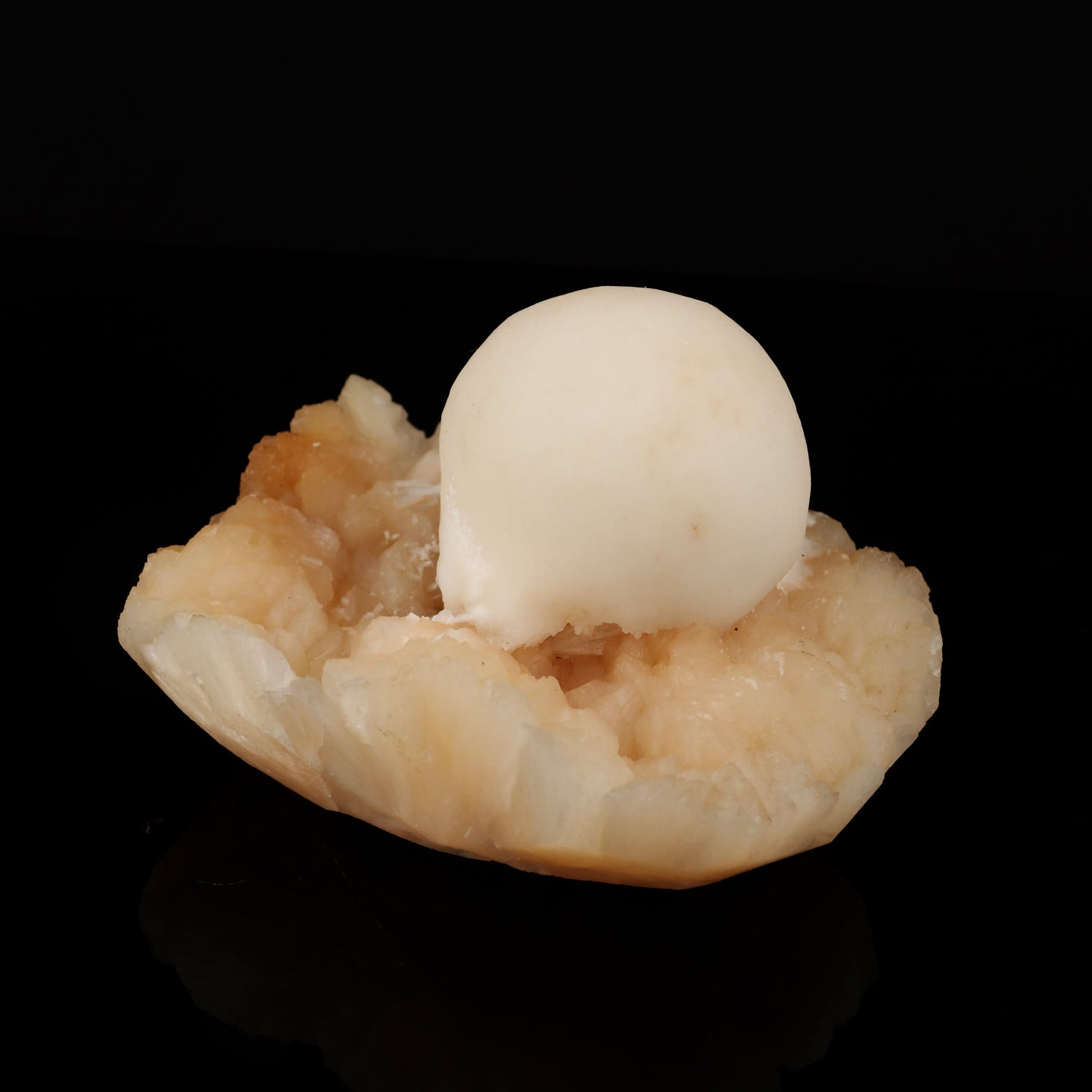 Scolecite Ball on Stilbite Natural Mineral Specimen # B 5578 Scolecite Superb Minerals 