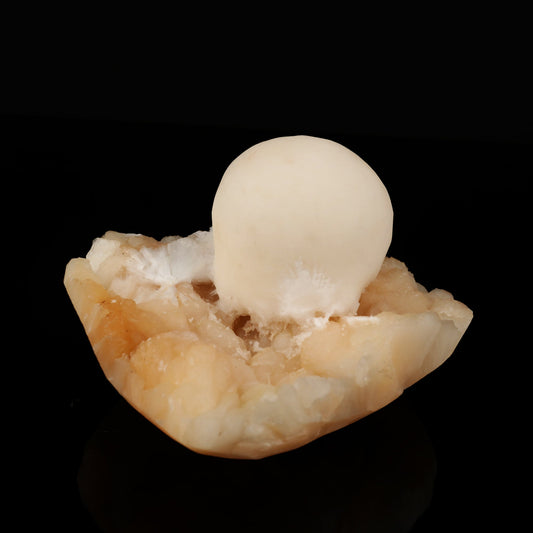 Scolecite Ball on Stilbite Natural Mineral Specimen # B 5578 Scolecite Superb Minerals 