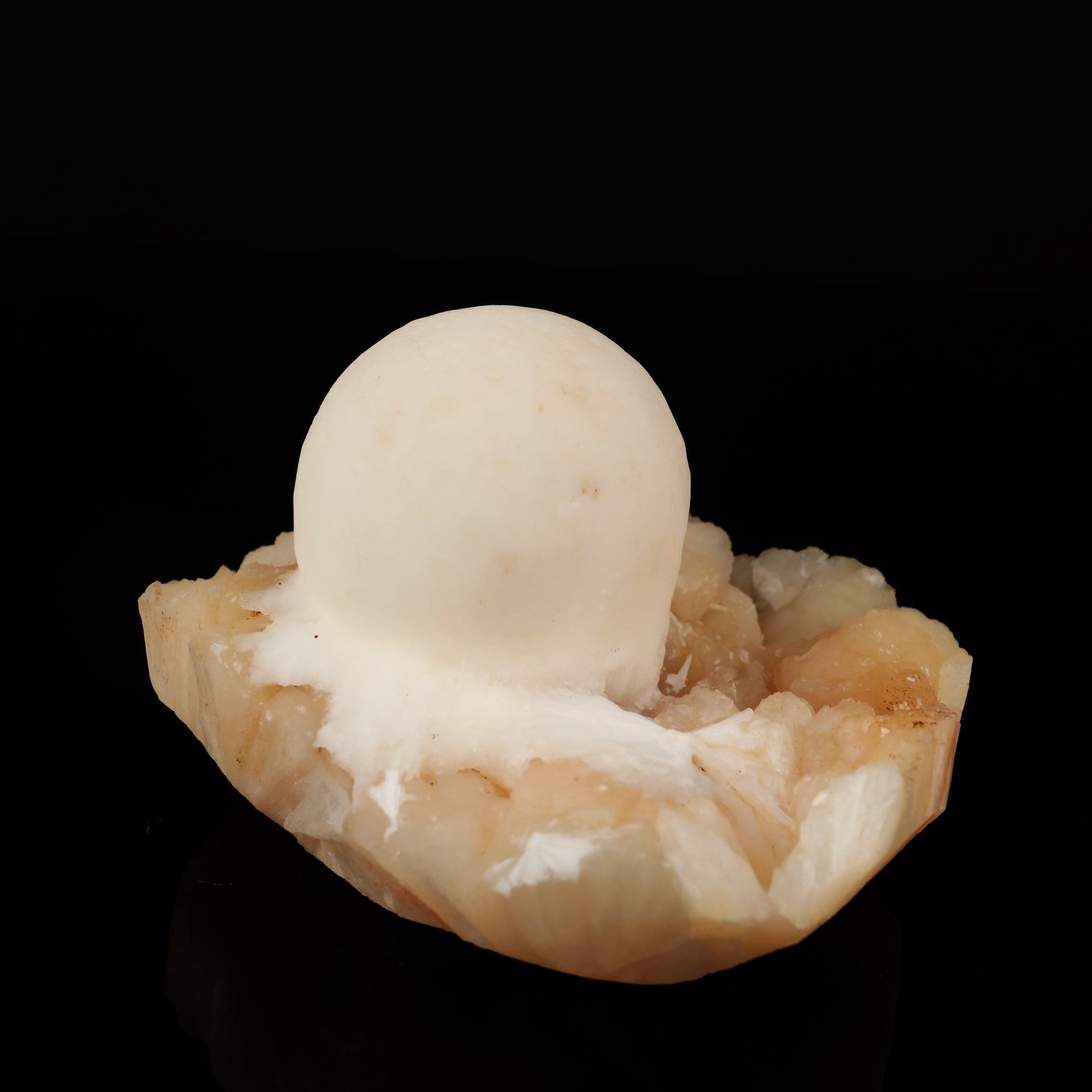 Scolecite Ball on Stilbite Natural Mineral Specimen # B 5578 Scolecite Superb Minerals 