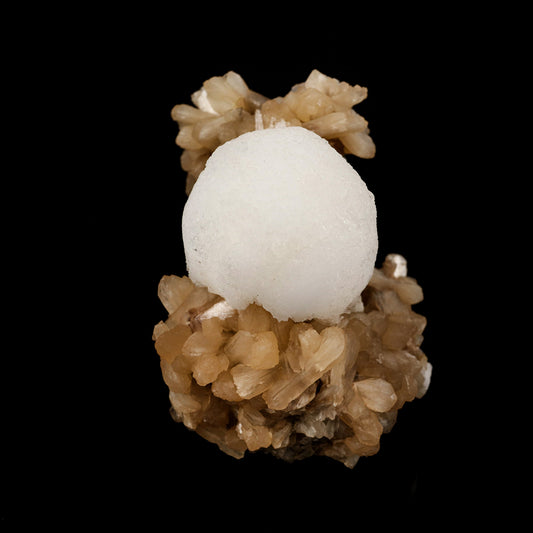 Scolecite Ball on Stilbite Natural Mineral Specimen # B 6125 Scolecite Superb Minerals 