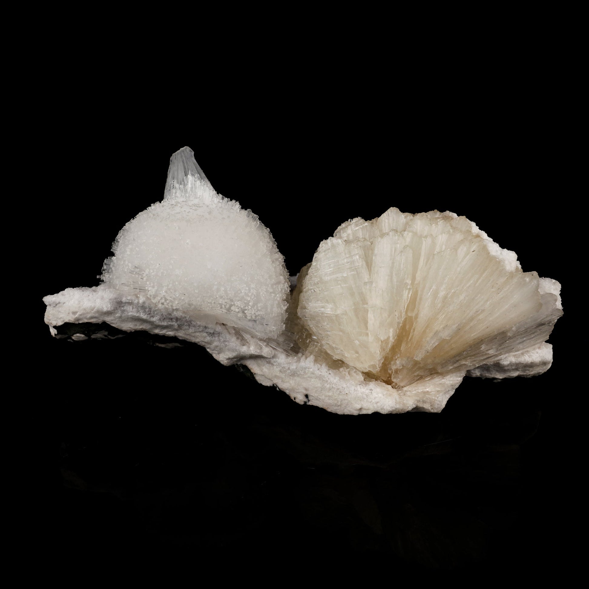 Scolecite Ball on Stilbite Snail like Structure Natural Mineral Specimen # B 6020 Scolecite Superb Minerals 