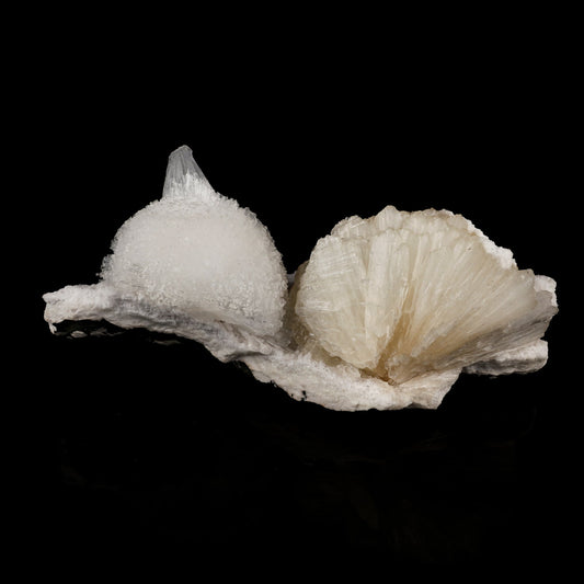 Scolecite Ball on Stilbite Snail like Structure Natural Mineral Specimen # B 6020 Scolecite Superb Minerals 