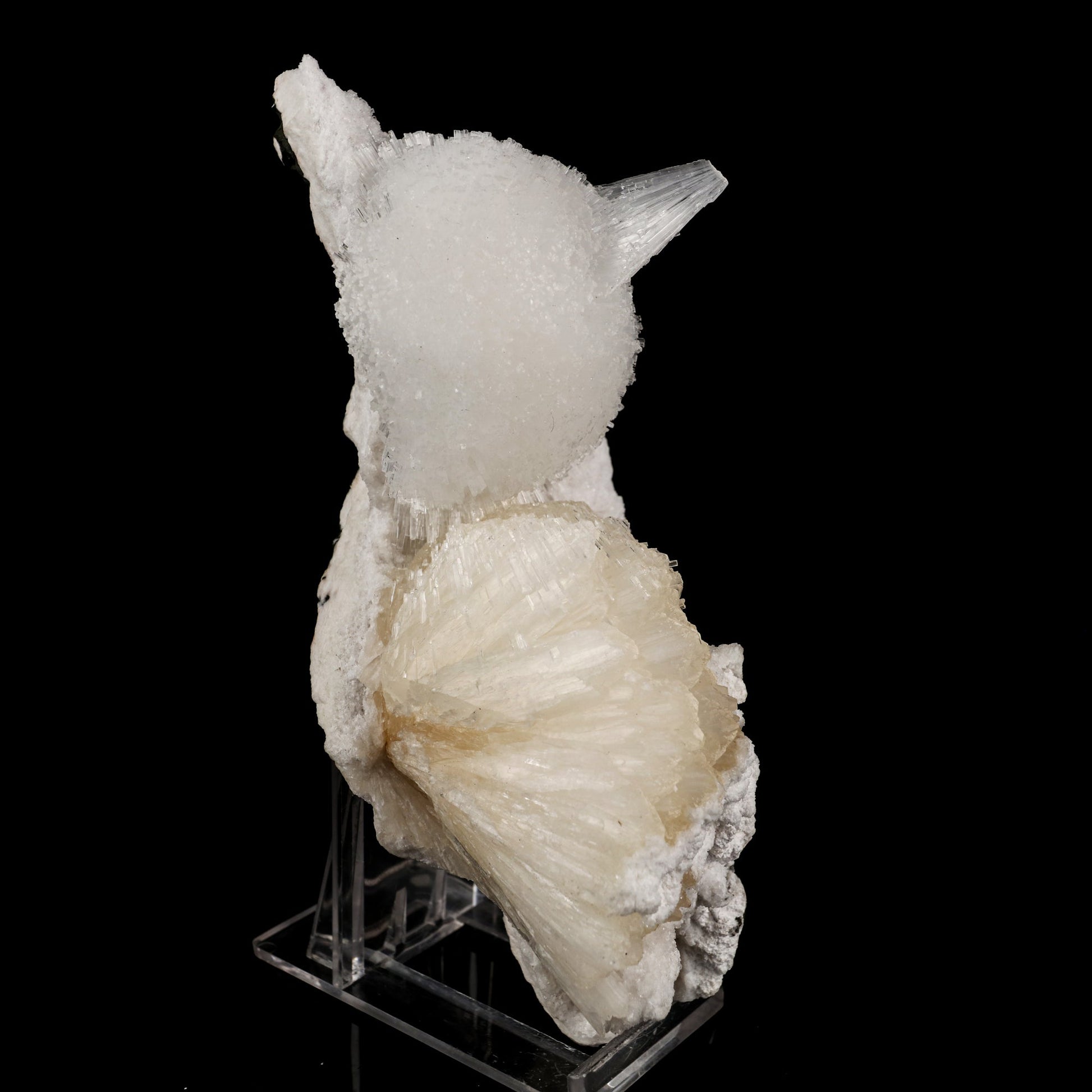 Scolecite Ball on Stilbite Snail like Structure Natural Mineral Specimen # B 6020 Scolecite Superb Minerals 