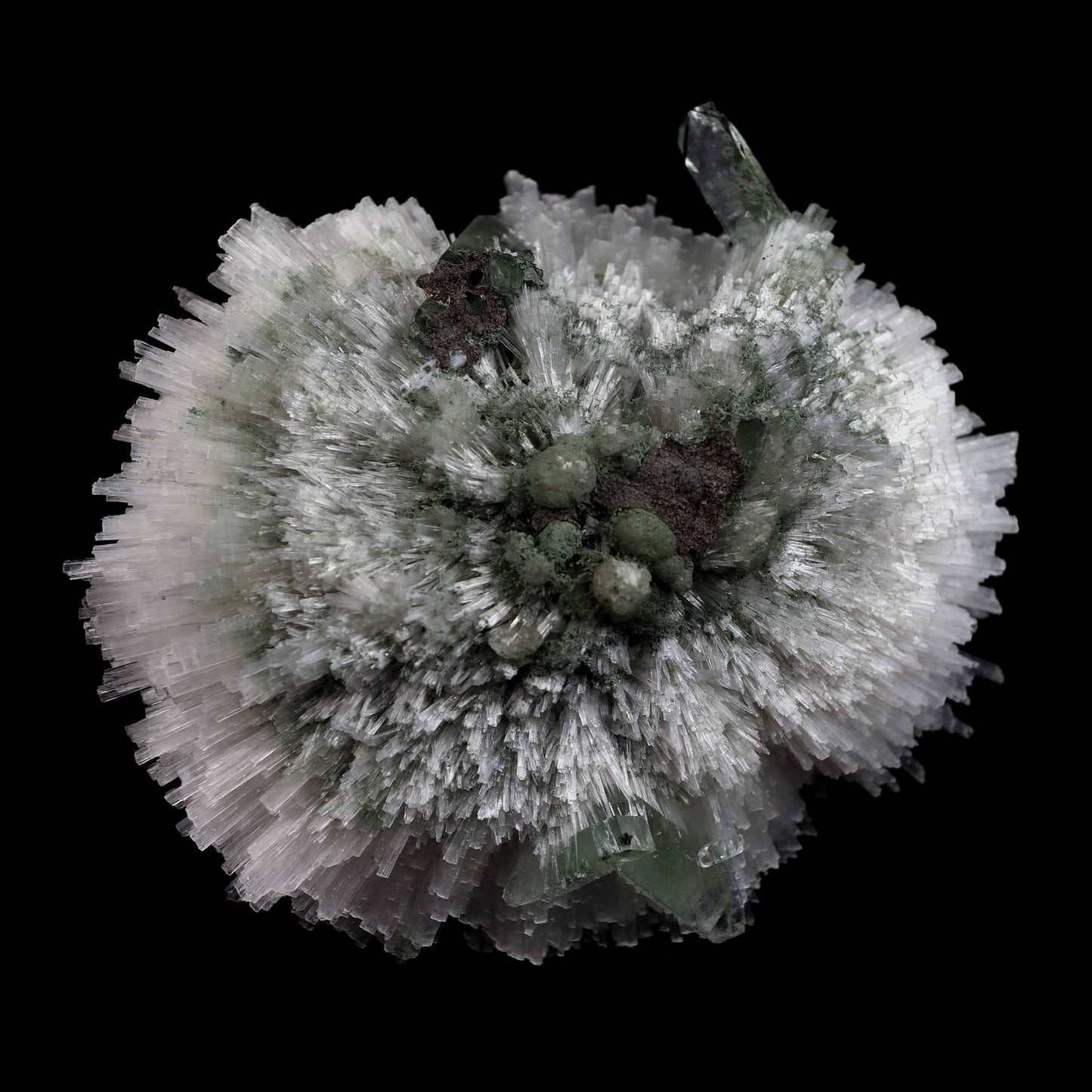 Scolecite Ball with Green Apophyllite Natural Mineral Specimen # B 45…  https://www.superbminerals.us/products/scolecite-ball-with-green-apophyllite-natural-mineral-specimen-b-4526  Features:Very rich porcupine quill spray of glassy scolecite needles is artistically set on the basalt matrix, which is covered with mint-green, frosted, Tetragonal Apophyllite crystals. Large combination material that is both outstanding and rare in today's market. Primary Mineral(s): ScoleciteSecondary Mineral
