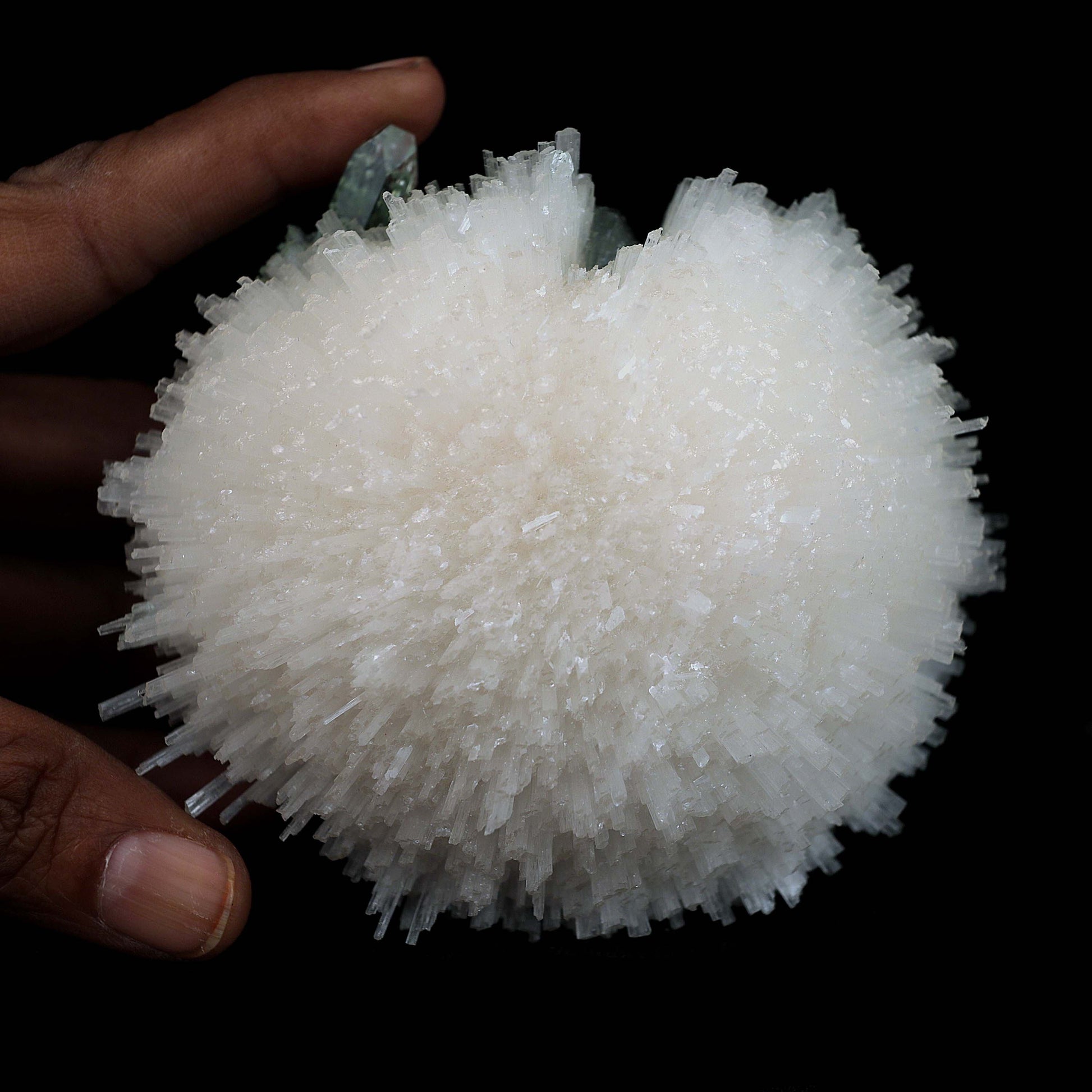 Scolecite Ball with Green Apophyllite Natural Mineral Specimen # B 45…  https://www.superbminerals.us/products/scolecite-ball-with-green-apophyllite-natural-mineral-specimen-b-4526  Features:Very rich porcupine quill spray of glassy scolecite needles is artistically set on the basalt matrix, which is covered with mint-green, frosted, Tetragonal Apophyllite crystals. Large combination material that is both outstanding and rare in today's market. Primary Mineral(s): ScoleciteSecondary Mineral