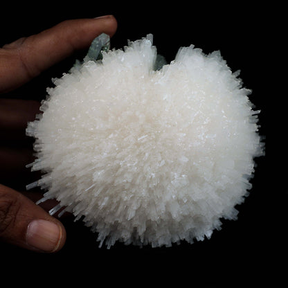 Scolecite Ball with Green Apophyllite Natural Mineral Specimen # B 45…  https://www.superbminerals.us/products/scolecite-ball-with-green-apophyllite-natural-mineral-specimen-b-4526  Features:Very rich porcupine quill spray of glassy scolecite needles is artistically set on the basalt matrix, which is covered with mint-green, frosted, Tetragonal Apophyllite crystals. Large combination material that is both outstanding and rare in today's market. Primary Mineral(s): ScoleciteSecondary Mineral