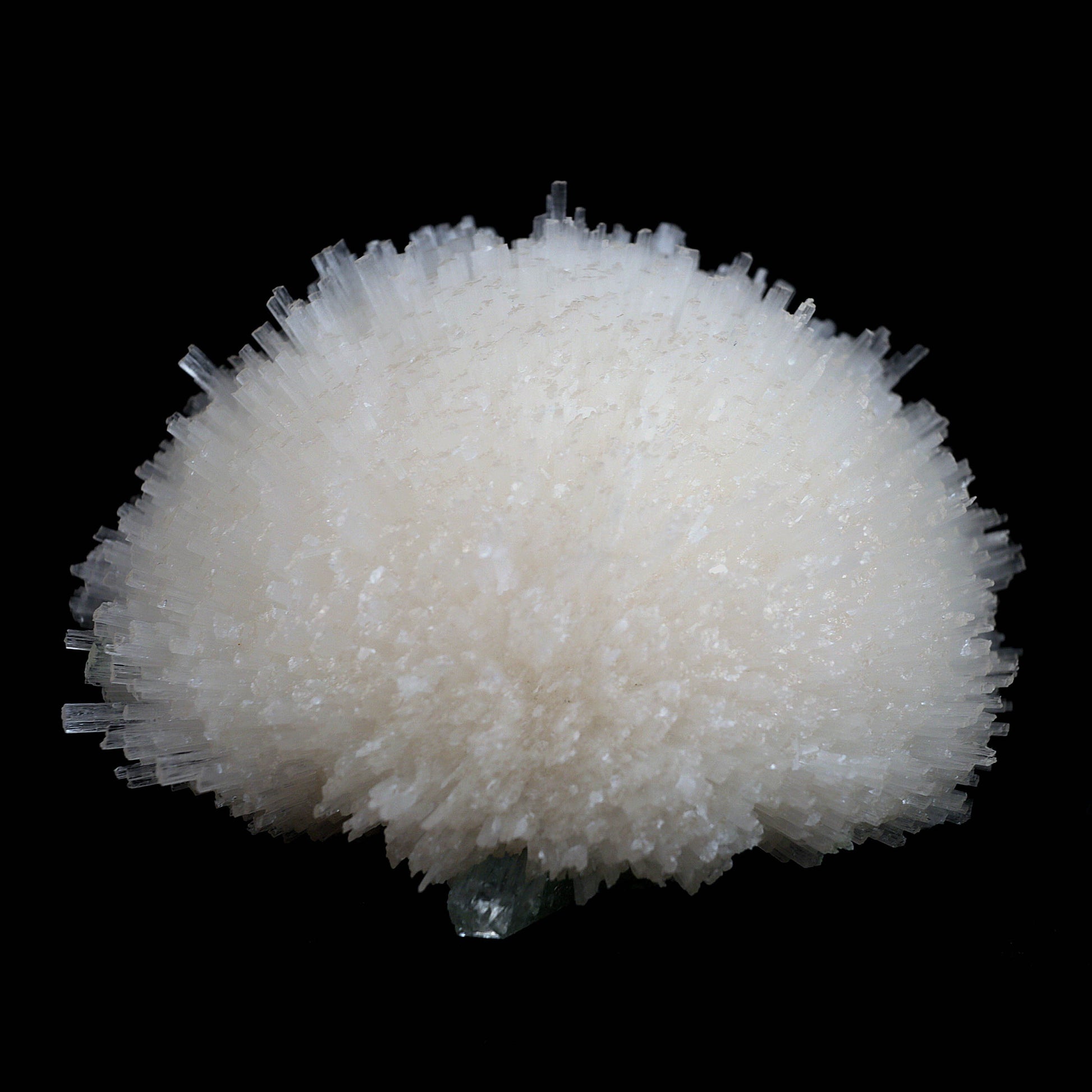 Scolecite Ball with Green Apophyllite Natural Mineral Specimen # B 45…  https://www.superbminerals.us/products/scolecite-ball-with-green-apophyllite-natural-mineral-specimen-b-4526  Features:Very rich porcupine quill spray of glassy scolecite needles is artistically set on the basalt matrix, which is covered with mint-green, frosted, Tetragonal Apophyllite crystals. Large combination material that is both outstanding and rare in today's market. Primary Mineral(s): ScoleciteSecondary Mineral