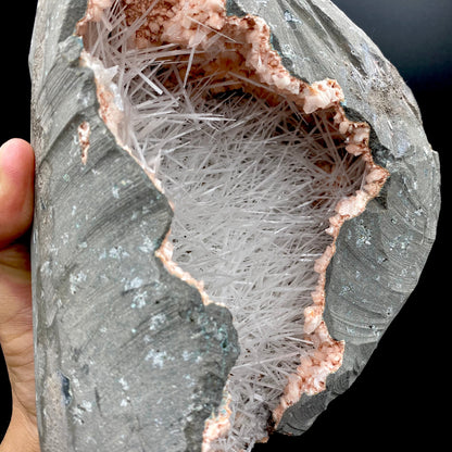 Scolecite DK102 Superb Minerals 