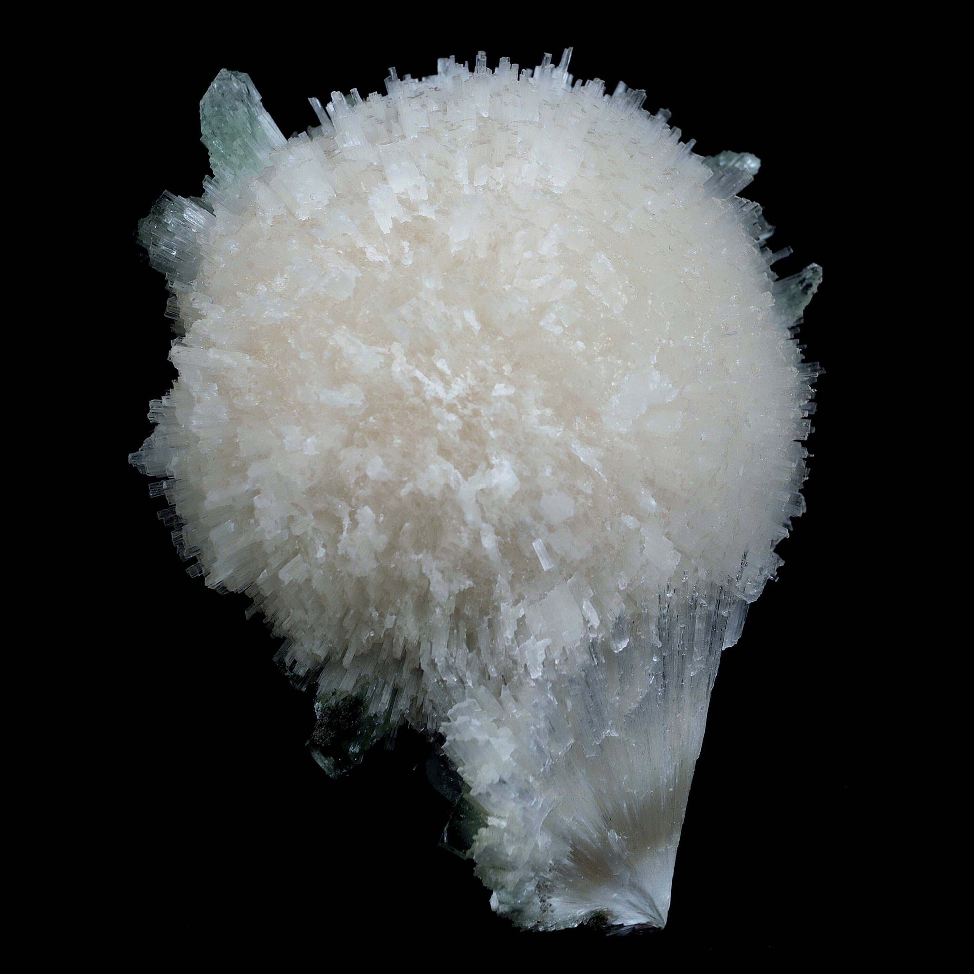 Scolecite Galssy Spehere with Apophyllite Natural Mineral Specimen # …  https://www.superbminerals.us/products/scolecite-galssy-spehere-with-apophyllite-natural-mineral-specimen-b-4609  Features: A rich porcupine quill spray of glassy scolecite needles is artfully placed over a basalt substrate coated in mint-green, frosted Tetragonal Apophyllite crystals.Large combination material that is both exceptional and uncommon in today's market. Primary Mineral(s): Scolecite