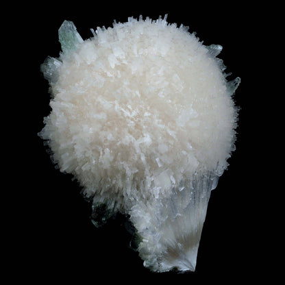 Scolecite Galssy Spehere with Apophyllite Natural Mineral Specimen # …  https://www.superbminerals.us/products/scolecite-galssy-spehere-with-apophyllite-natural-mineral-specimen-b-4609  Features: A rich porcupine quill spray of glassy scolecite needles is artfully placed over a basalt substrate coated in mint-green, frosted Tetragonal Apophyllite crystals.Large combination material that is both exceptional and uncommon in today's market. Primary Mineral(s): Scolecite