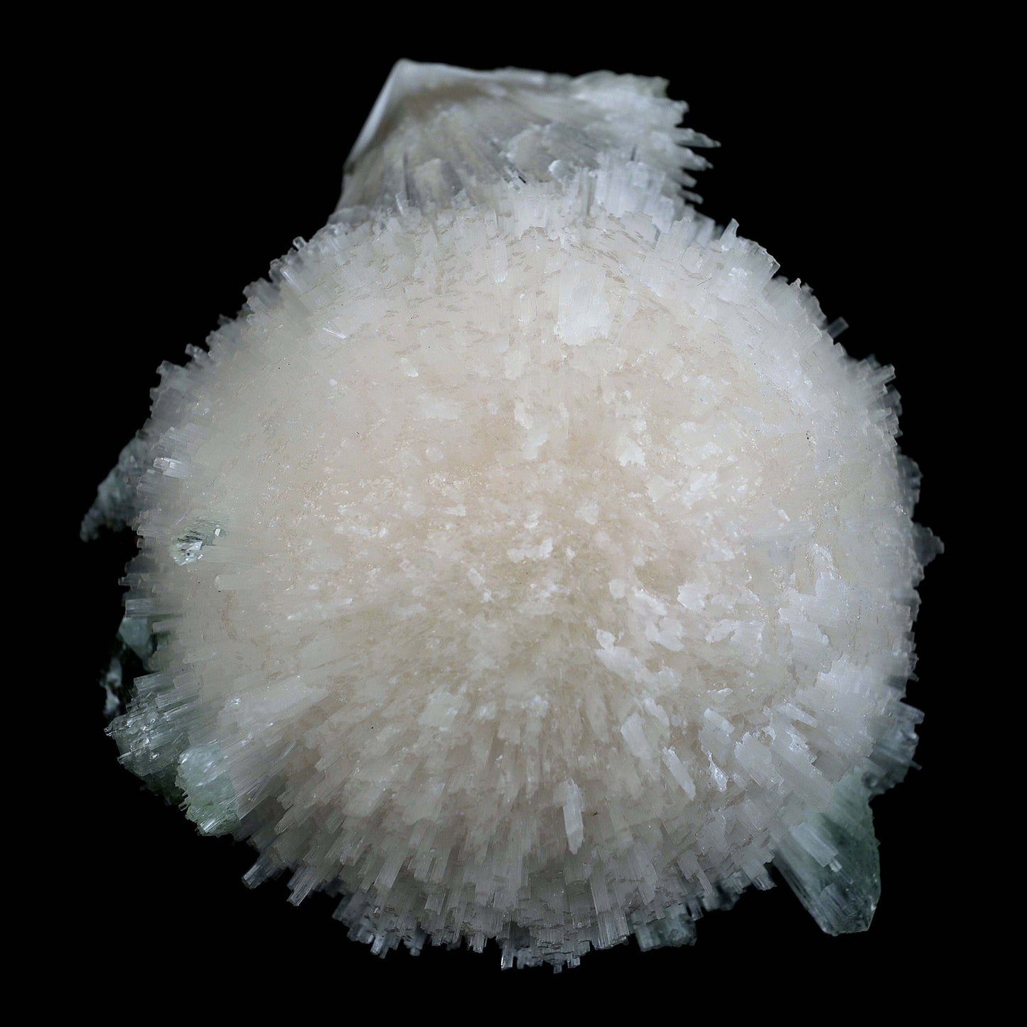 Scolecite Galssy Spehere with Apophyllite Natural Mineral Specimen # …  https://www.superbminerals.us/products/scolecite-galssy-spehere-with-apophyllite-natural-mineral-specimen-b-4609  Features: A rich porcupine quill spray of glassy scolecite needles is artfully placed over a basalt substrate coated in mint-green, frosted Tetragonal Apophyllite crystals.Large combination material that is both exceptional and uncommon in today's market. Primary Mineral(s): Scolecite