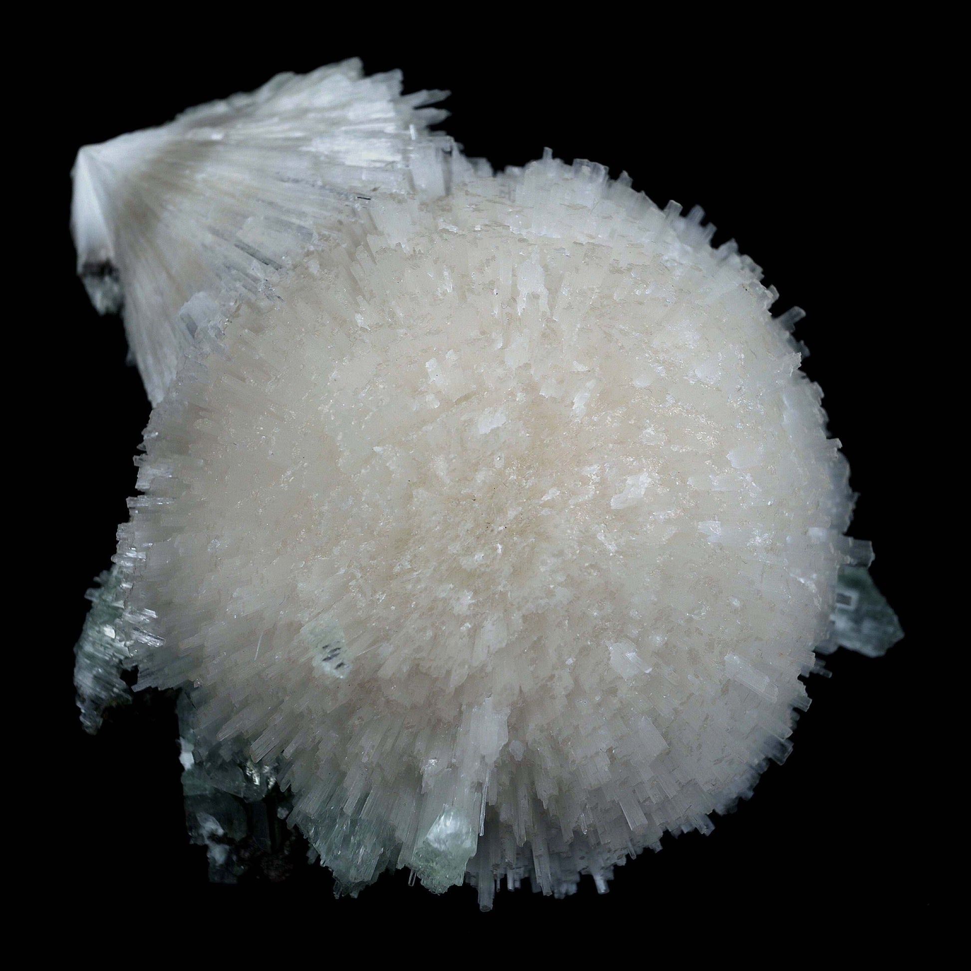 Scolecite Galssy Spehere with Apophyllite Natural Mineral Specimen # …  https://www.superbminerals.us/products/scolecite-galssy-spehere-with-apophyllite-natural-mineral-specimen-b-4609  Features: A rich porcupine quill spray of glassy scolecite needles is artfully placed over a basalt substrate coated in mint-green, frosted Tetragonal Apophyllite crystals.Large combination material that is both exceptional and uncommon in today's market. Primary Mineral(s): Scolecite
