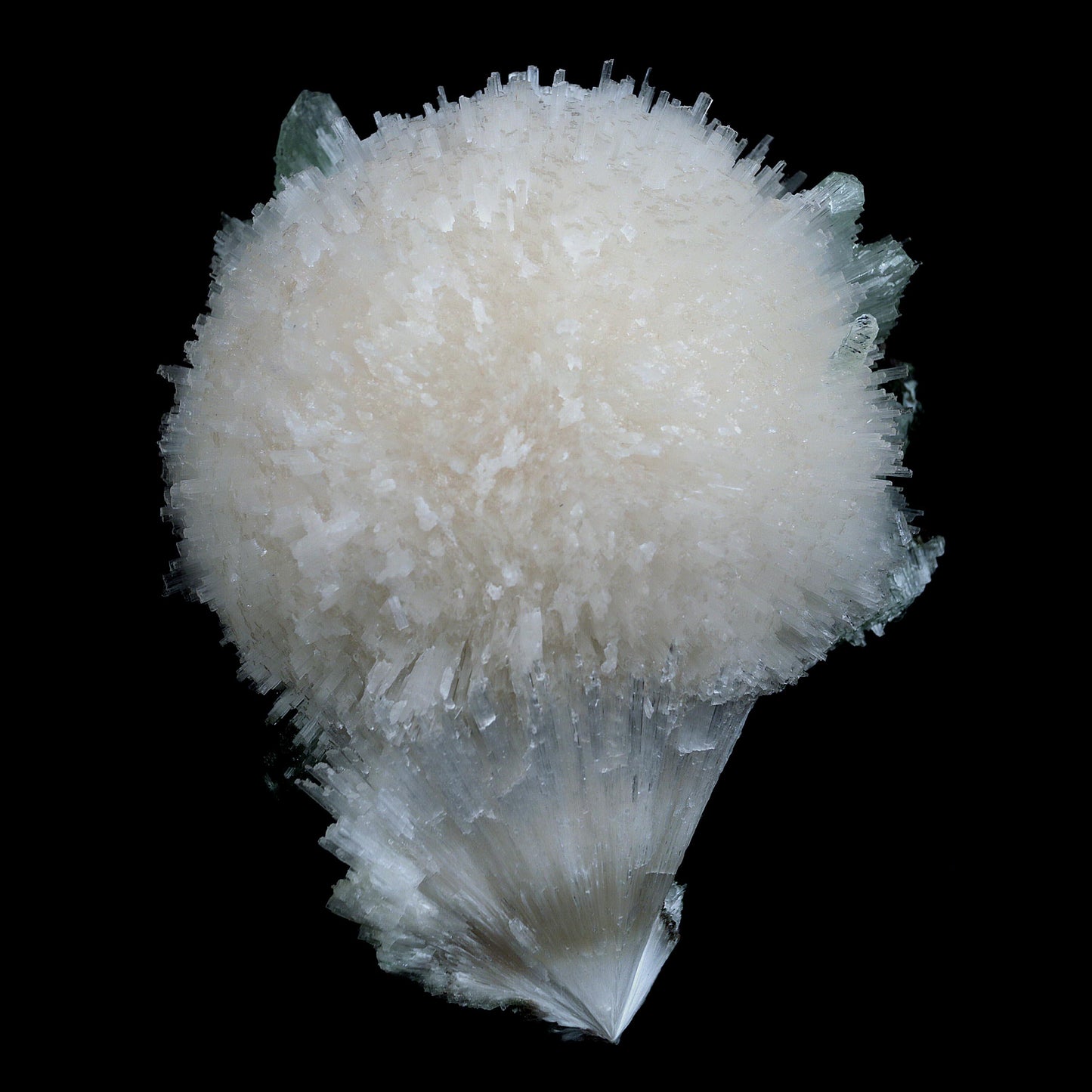 Scolecite Galssy Spehere with Apophyllite Natural Mineral Specimen # …  https://www.superbminerals.us/products/scolecite-galssy-spehere-with-apophyllite-natural-mineral-specimen-b-4609  Features: A rich porcupine quill spray of glassy scolecite needles is artfully placed over a basalt substrate coated in mint-green, frosted Tetragonal Apophyllite crystals.Large combination material that is both exceptional and uncommon in today's market. Primary Mineral(s): Scolecite