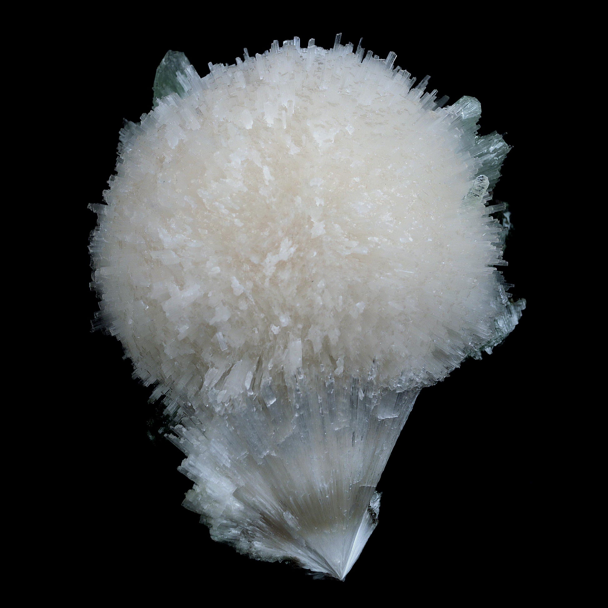 Scolecite Galssy Spehere with Apophyllite Natural Mineral Specimen # …  https://www.superbminerals.us/products/scolecite-galssy-spehere-with-apophyllite-natural-mineral-specimen-b-4609  Features: A rich porcupine quill spray of glassy scolecite needles is artfully placed over a basalt substrate coated in mint-green, frosted Tetragonal Apophyllite crystals.Large combination material that is both exceptional and uncommon in today's market. Primary Mineral(s): Scolecite