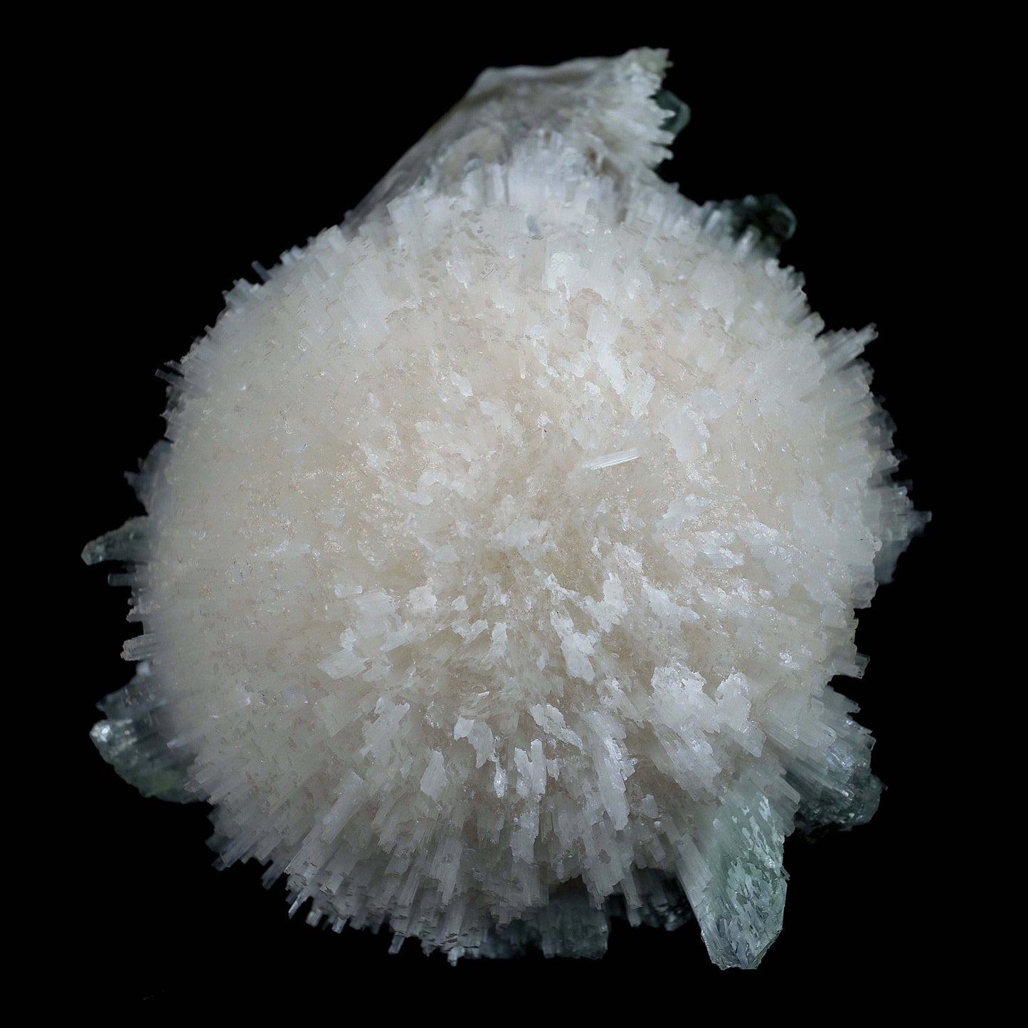 Scolecite Galssy Spehere with Apophyllite Natural Mineral Specimen # …  https://www.superbminerals.us/products/scolecite-galssy-spehere-with-apophyllite-natural-mineral-specimen-b-4609  Features: A rich porcupine quill spray of glassy scolecite needles is artfully placed over a basalt substrate coated in mint-green, frosted Tetragonal Apophyllite crystals.Large combination material that is both exceptional and uncommon in today's market. Primary Mineral(s): Scolecite