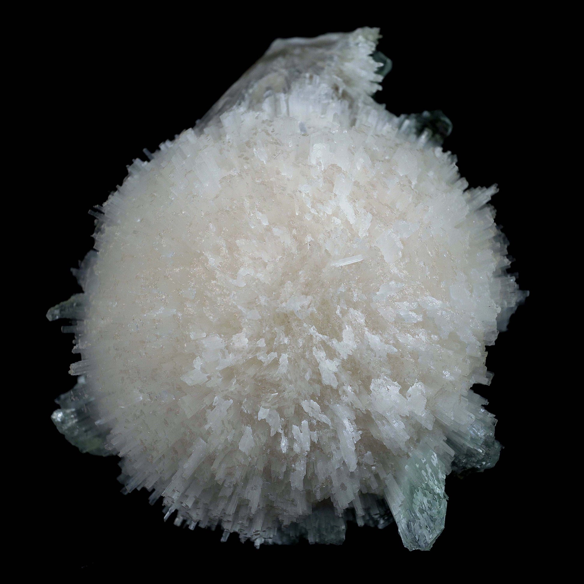 Scolecite Galssy Spehere with Apophyllite Natural Mineral Specimen # …  https://www.superbminerals.us/products/scolecite-galssy-spehere-with-apophyllite-natural-mineral-specimen-b-4609  Features: A rich porcupine quill spray of glassy scolecite needles is artfully placed over a basalt substrate coated in mint-green, frosted Tetragonal Apophyllite crystals.Large combination material that is both exceptional and uncommon in today's market. Primary Mineral(s): Scolecite