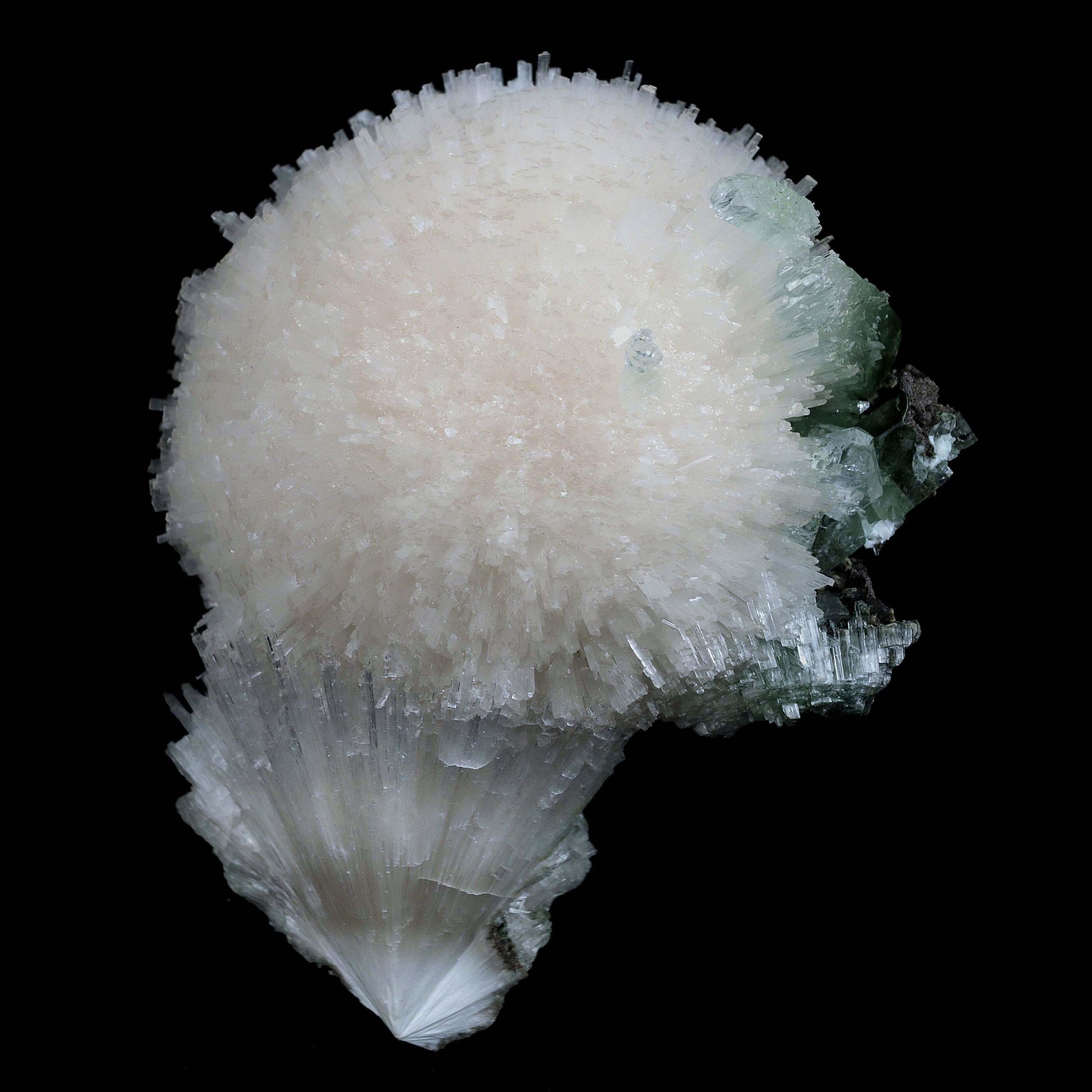 Scolecite Galssy Spehere with Apophyllite Natural Mineral Specimen # …  https://www.superbminerals.us/products/scolecite-galssy-spehere-with-apophyllite-natural-mineral-specimen-b-4609  Features: A rich porcupine quill spray of glassy scolecite needles is artfully placed over a basalt substrate coated in mint-green, frosted Tetragonal Apophyllite crystals.Large combination material that is both exceptional and uncommon in today's market. Primary Mineral(s): Scolecite