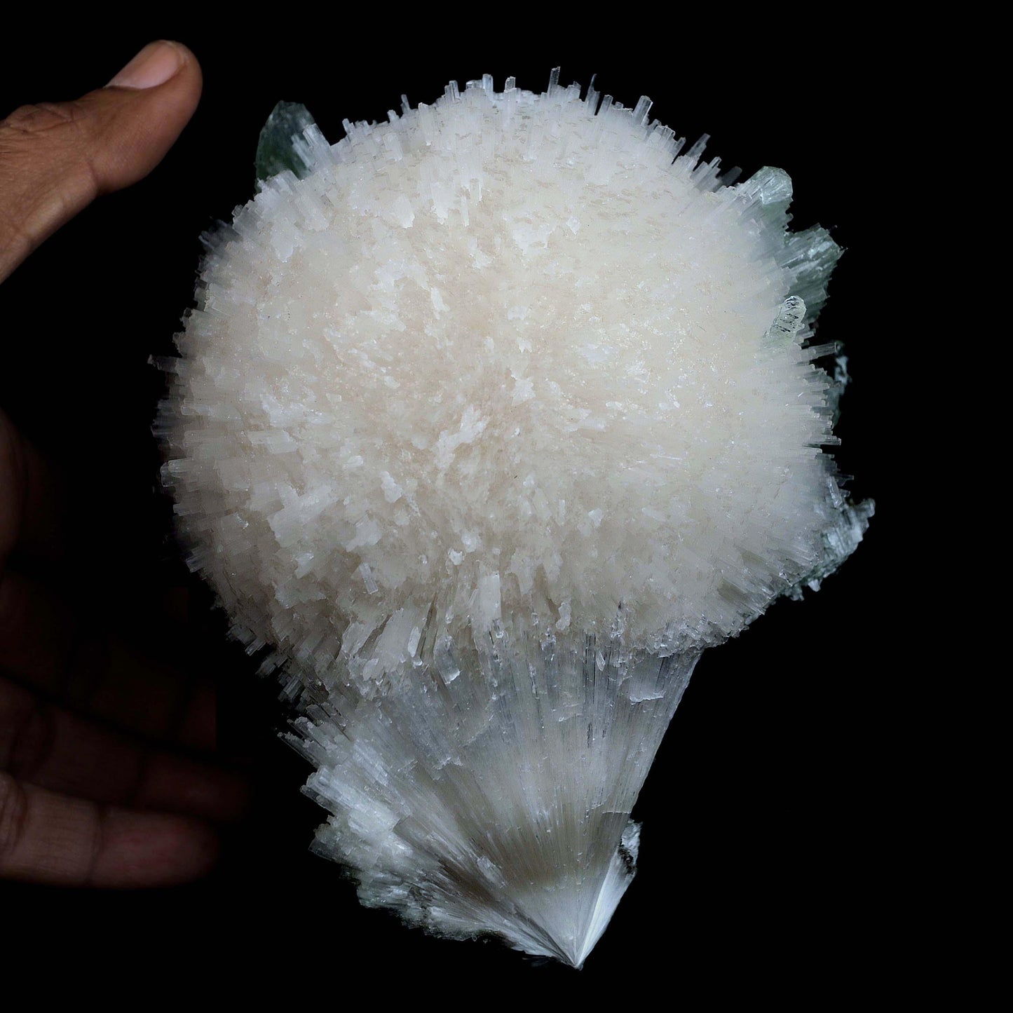 Scolecite Galssy Spehere with Apophyllite Natural Mineral Specimen # …  https://www.superbminerals.us/products/scolecite-galssy-spehere-with-apophyllite-natural-mineral-specimen-b-4609  Features: A rich porcupine quill spray of glassy scolecite needles is artfully placed over a basalt substrate coated in mint-green, frosted Tetragonal Apophyllite crystals.Large combination material that is both exceptional and uncommon in today's market. Primary Mineral(s): Scolecite