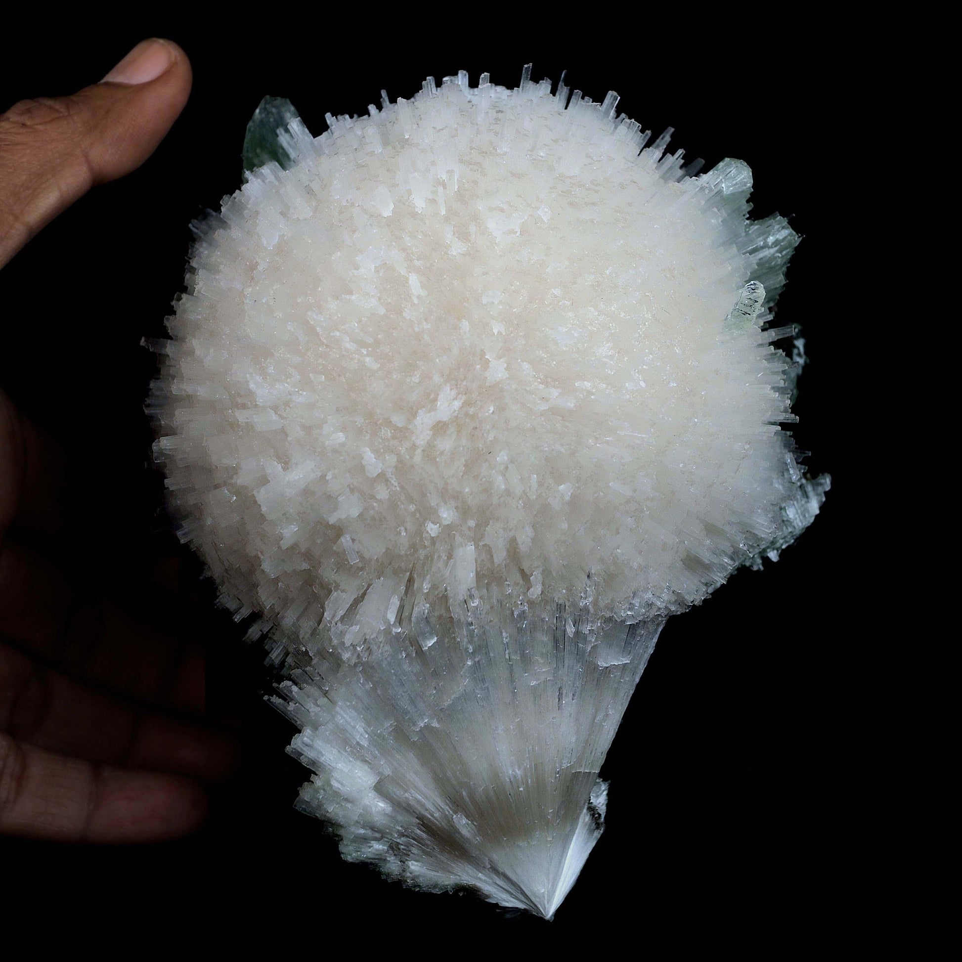 Scolecite Galssy Spehere with Apophyllite Natural Mineral Specimen # …  https://www.superbminerals.us/products/scolecite-galssy-spehere-with-apophyllite-natural-mineral-specimen-b-4609  Features: A rich porcupine quill spray of glassy scolecite needles is artfully placed over a basalt substrate coated in mint-green, frosted Tetragonal Apophyllite crystals.Large combination material that is both exceptional and uncommon in today's market. Primary Mineral(s): Scolecite