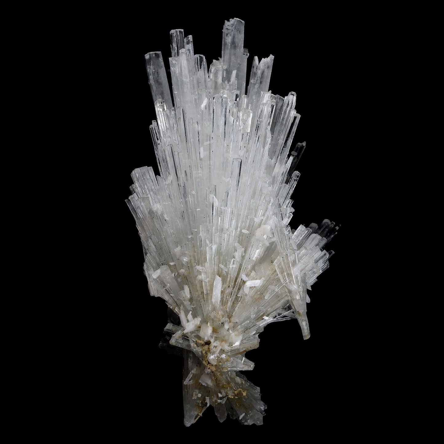 Scolecite Glassy Spray Natural Mineral Specimen # B 4608  https://www.superbminerals.us/products/scolecite-glassy-spray-natural-mineral-specimen-b-4608  Features: A large, tapered spray of elongated colorless Scolecite crystals. The Scolecite crystals are glassy and highly translucent with transparent terminations. A beautiful specimen in excellent condition.Primary Mineral(s): Scolecite