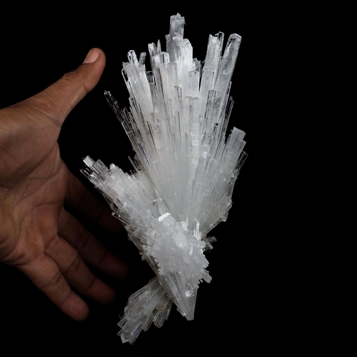 Scolecite Glassy Spray Natural Mineral Specimen # B 4608  https://www.superbminerals.us/products/scolecite-glassy-spray-natural-mineral-specimen-b-4608  Features: A large, tapered spray of elongated colorless Scolecite crystals. The Scolecite crystals are glassy and highly translucent with transparent terminations. A beautiful specimen in excellent condition.Primary Mineral(s): Scolecite
