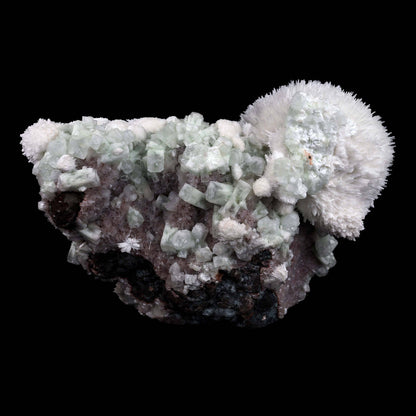 Scolecite Hemispheres with Apophyllite on Stilibite Natural Mineral Sp…  https://www.superbminerals.us/products/scolecite-hemispheres-with-apophyllite-on-stilibite-natural-mineral-specimen-b-4421  Features:A stunning specimen featuring a large, hemispherical formation of colorless, transparent, lustrous acicular Scolecite crystals on peach-colored Stilbite. An amazing piece with superb crystal formation, contrast, luster and contrast. In excellent condition. A great addition to any collection.