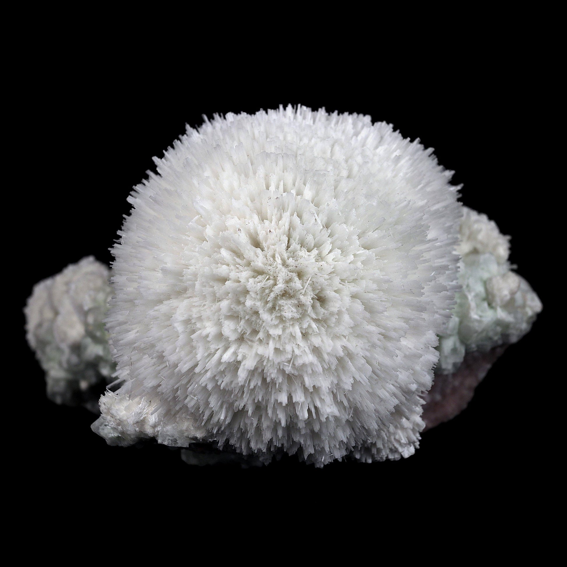 Scolecite Hemispheres with Apophyllite on Stilibite Natural Mineral Sp…  https://www.superbminerals.us/products/scolecite-hemispheres-with-apophyllite-on-stilibite-natural-mineral-specimen-b-4421  Features:A stunning specimen featuring a large, hemispherical formation of colorless, transparent, lustrous acicular Scolecite crystals on peach-colored Stilbite. An amazing piece with superb crystal formation, contrast, luster and contrast. In excellent condition. A great addition to any collection.