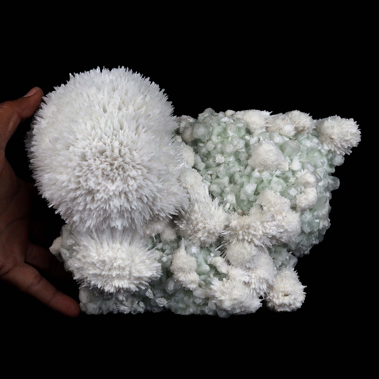 Scolecite Hemispheres with Apophyllite on Stilibite Natural Mineral Sp…  https://www.superbminerals.us/products/scolecite-hemispheres-with-apophyllite-on-stilibite-natural-mineral-specimen-b-4421  Features:A stunning specimen featuring a large, hemispherical formation of colorless, transparent, lustrous acicular Scolecite crystals on peach-colored Stilbite. An amazing piece with superb crystal formation, contrast, luster and contrast. In excellent condition. A great addition to any collection.